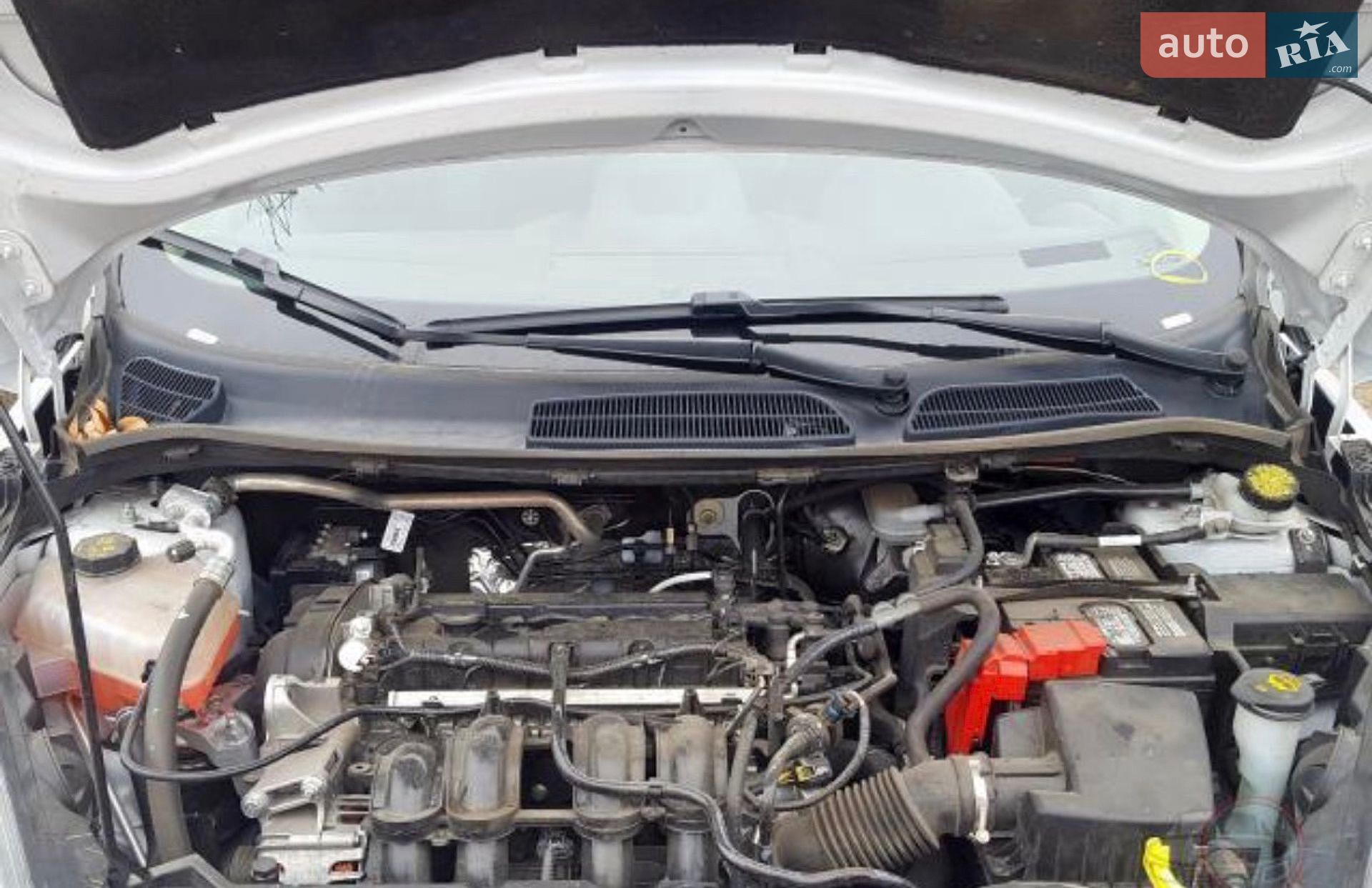 Ford Fiesta 2019 VIN 3FADP4BJ7KM133029 фото оголошення 20 з 23