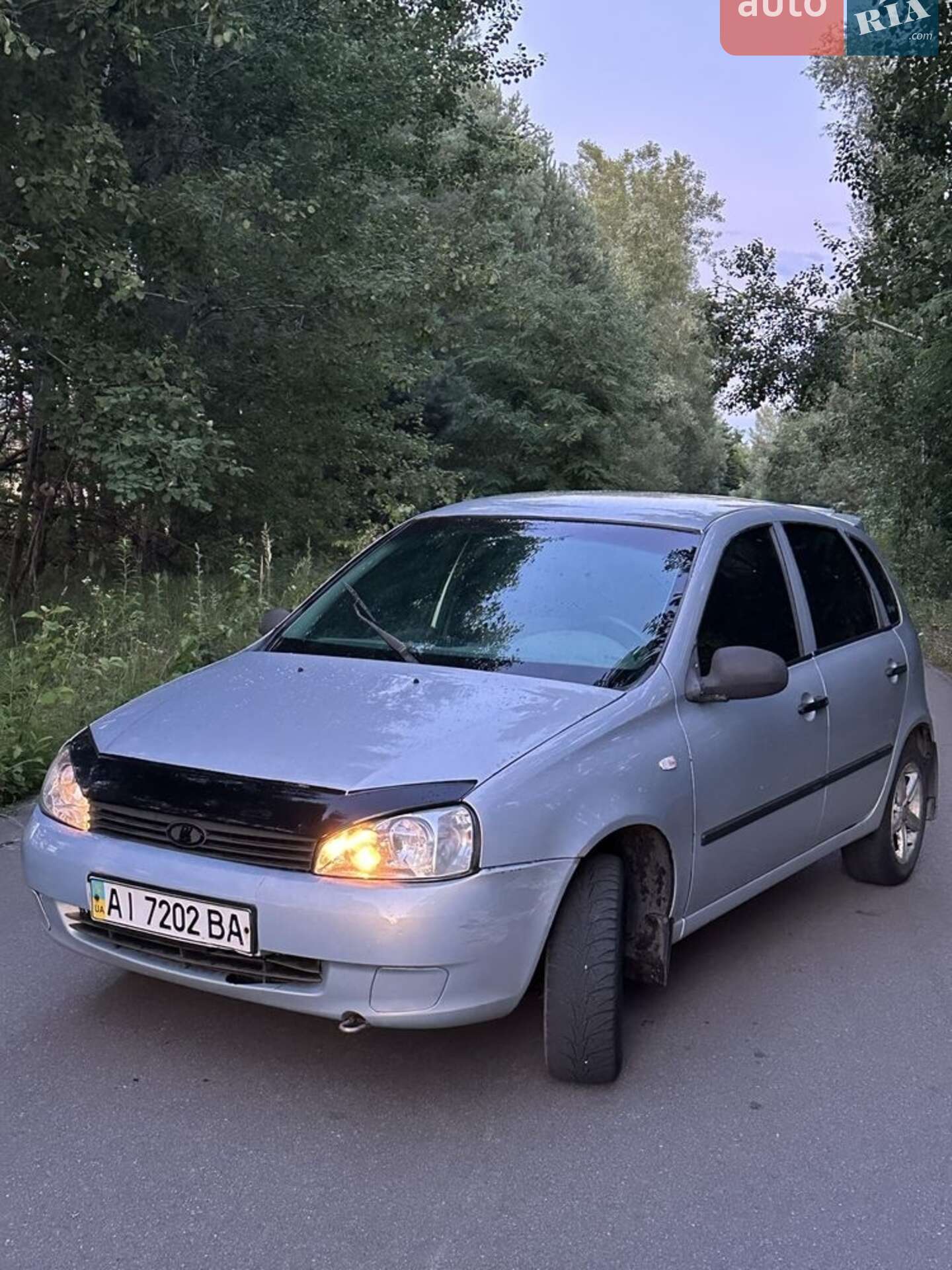 ВАЗ / Lada 1119 Калина 2008 VIN XTA11194080066854 фото оголошення 10 з 10