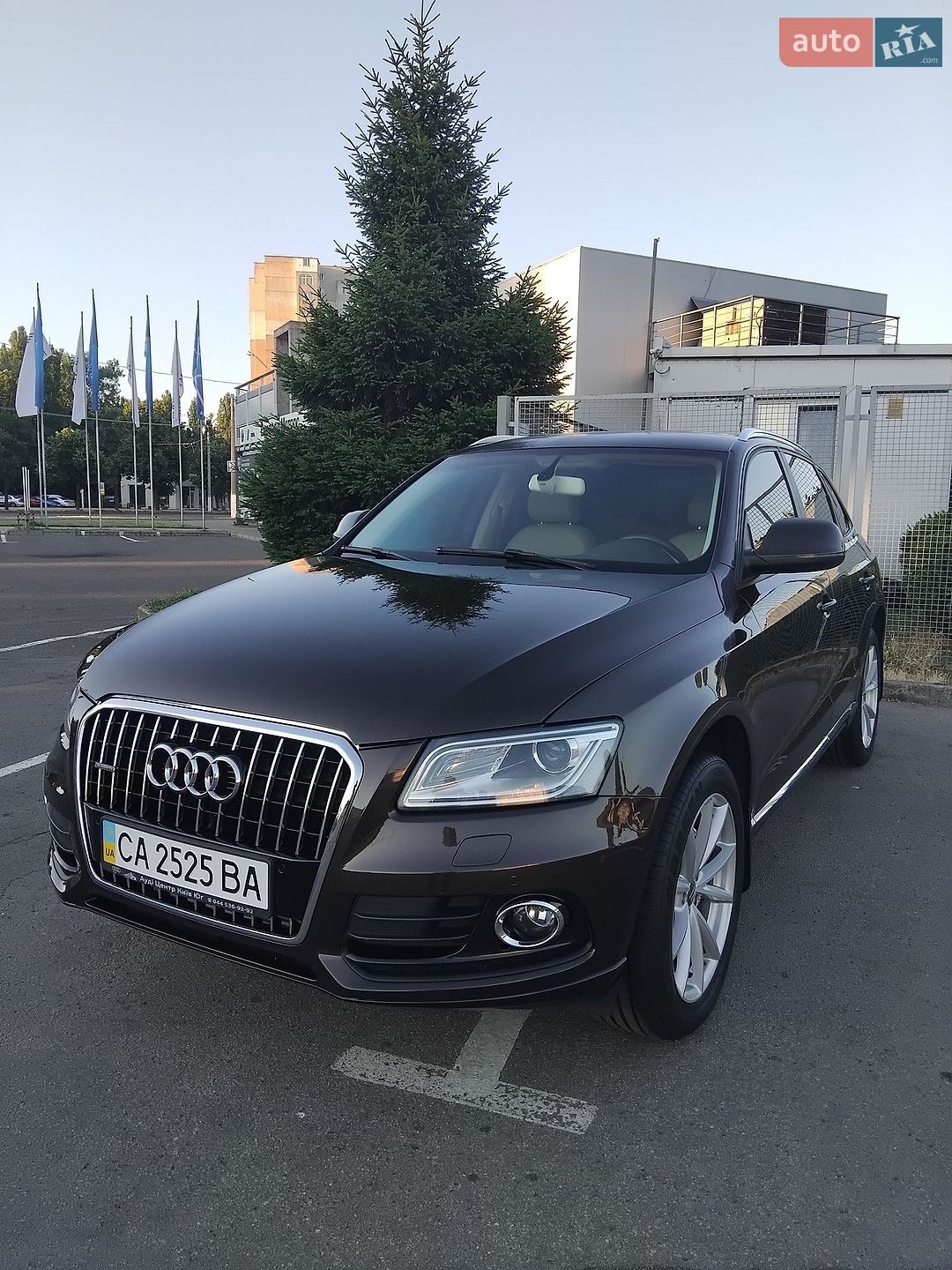 Audi Q5 2013 VIN WAUZZZ8R8DA089379 фото оголошення 6 з 41