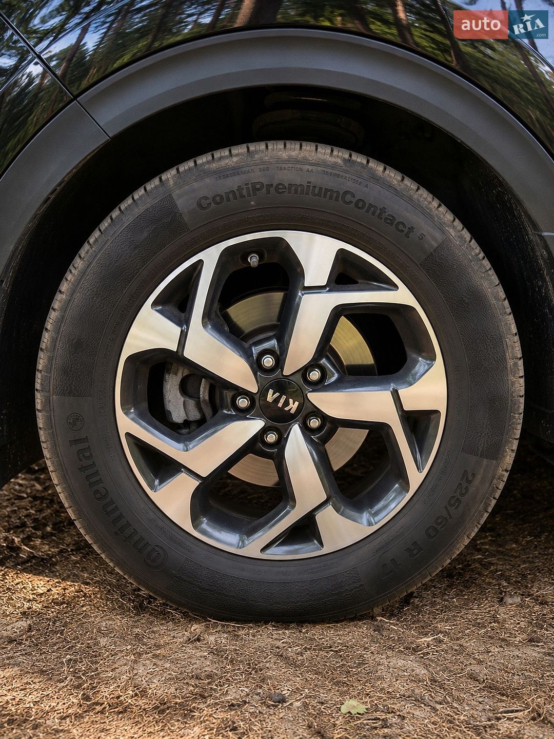 Kia Sportage 2021 VIN U5YPG814BML021566 фото оголошення 10 з 10