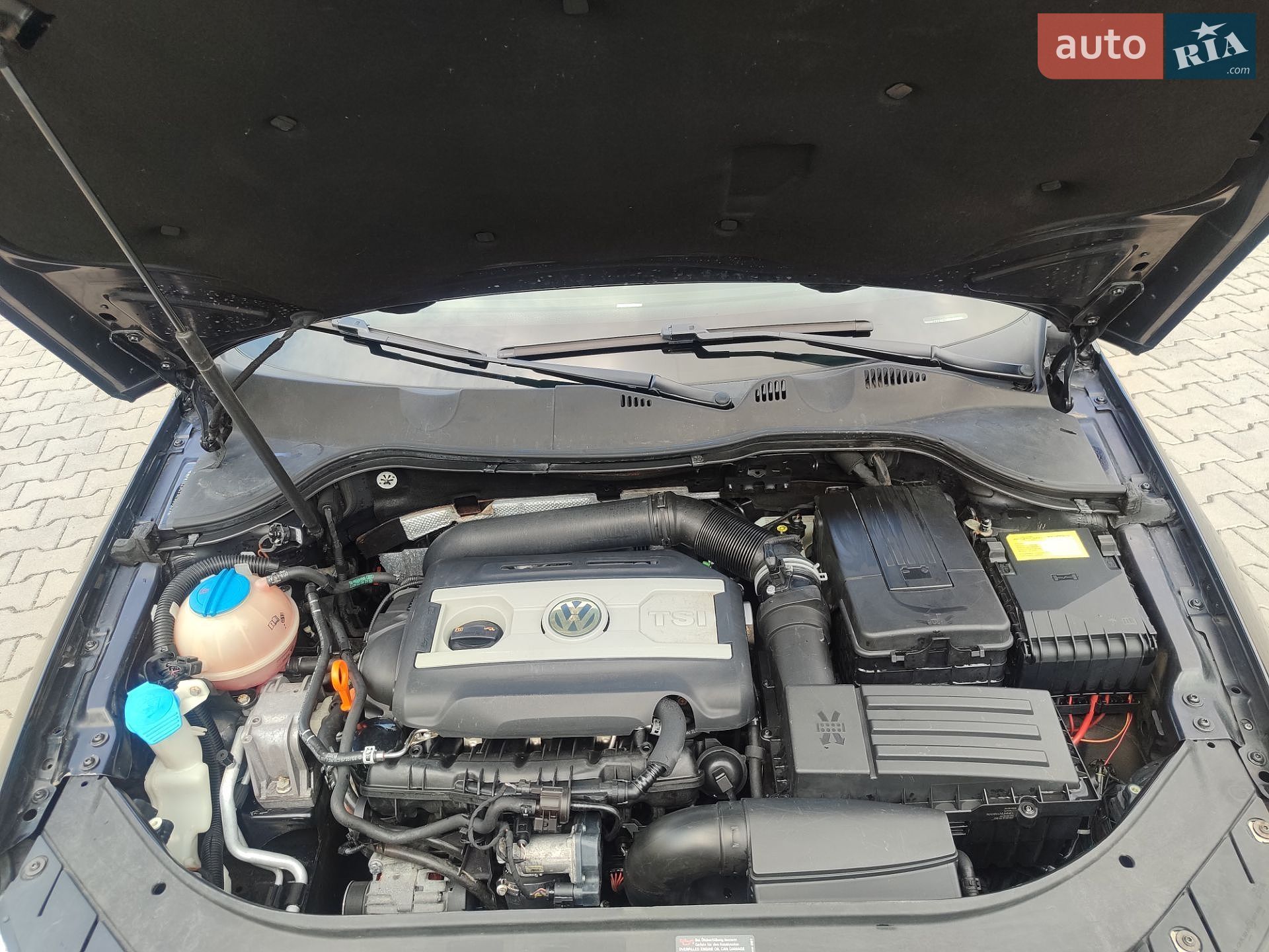 Volkswagen Passat 2008 VIN WVWZZZ3CZ9E066031 фото оголошення 19 з 35