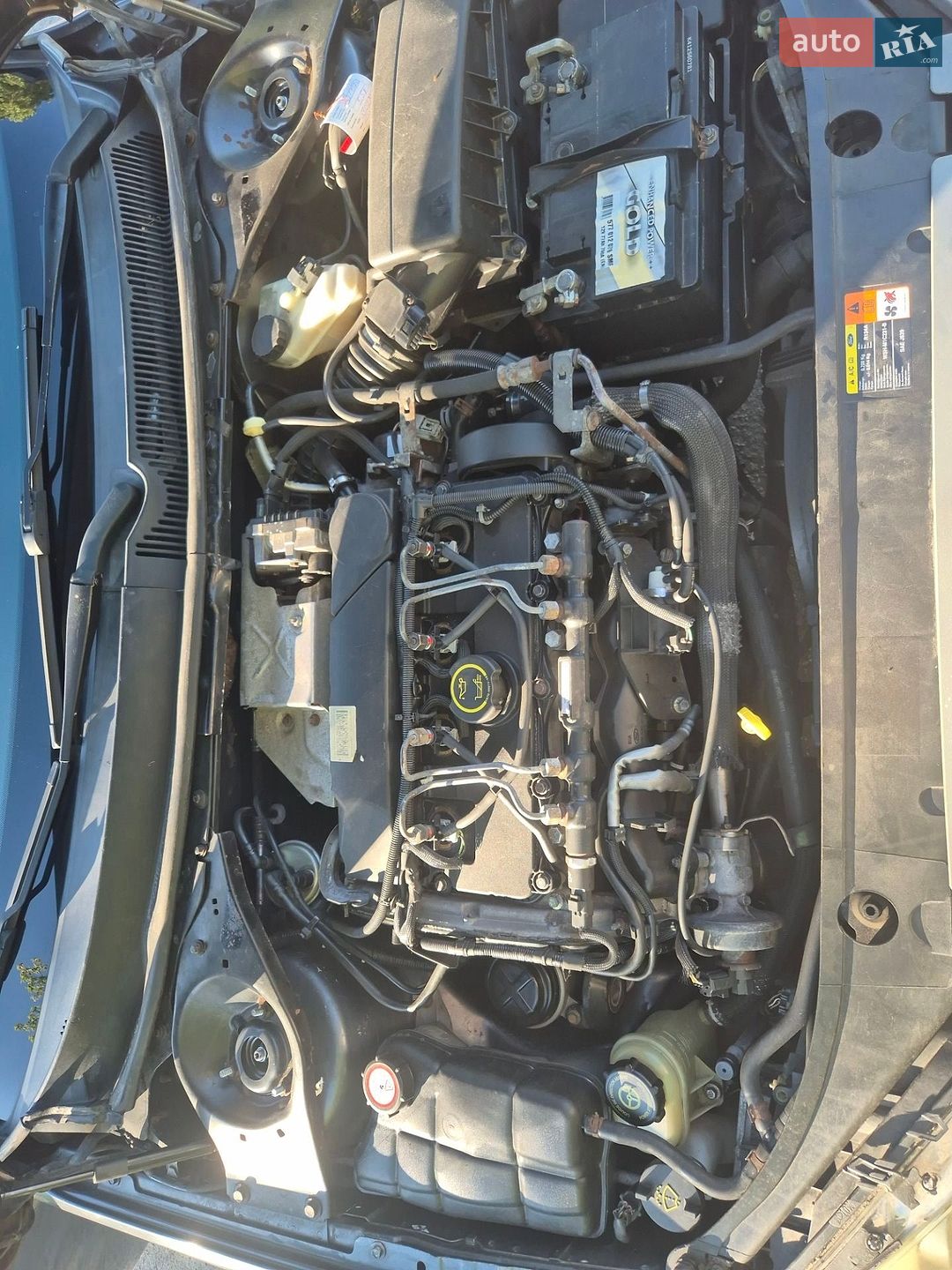 Ford Mondeo 2005 VIN WF0WXXGBBW5E16579 фото оголошення 12 з 17