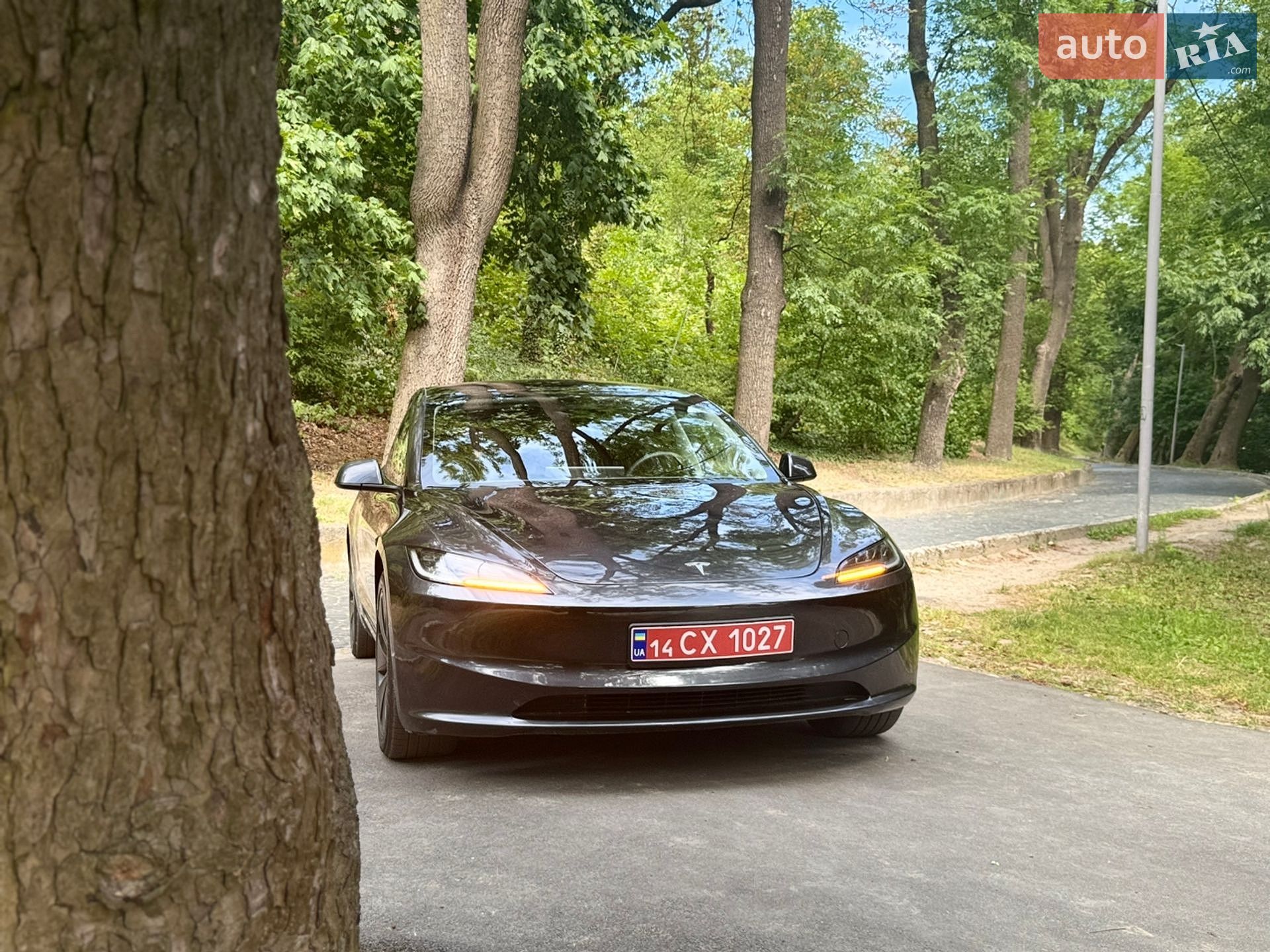 Tesla Model 3 2025 VIN 5YJ3E1EA1SF020171 фото оголошення 5 з 21