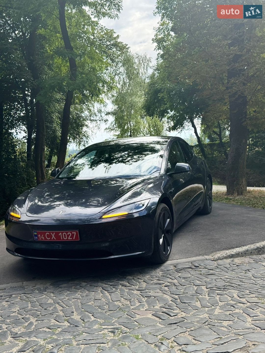 Tesla Model 3 2025 VIN 5YJ3E1EA1SF020171 фото оголошення 9 з 21