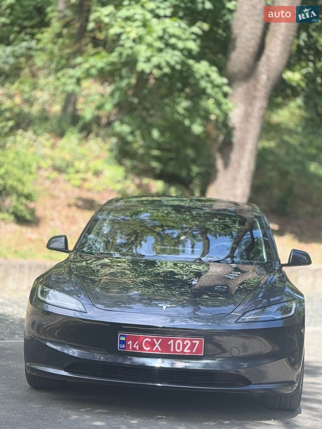 Tesla Model 3 2025 VIN 5YJ3E1EA1SF020171 фото оголошення 11 з 21