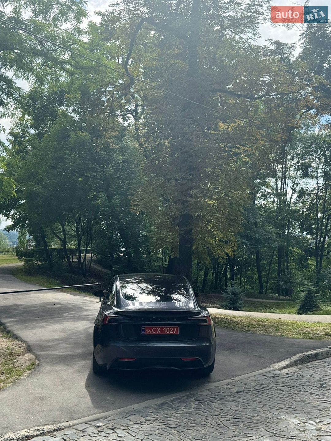 Tesla Model 3 2025 VIN 5YJ3E1EA1SF020171 фото оголошення 21 з 21