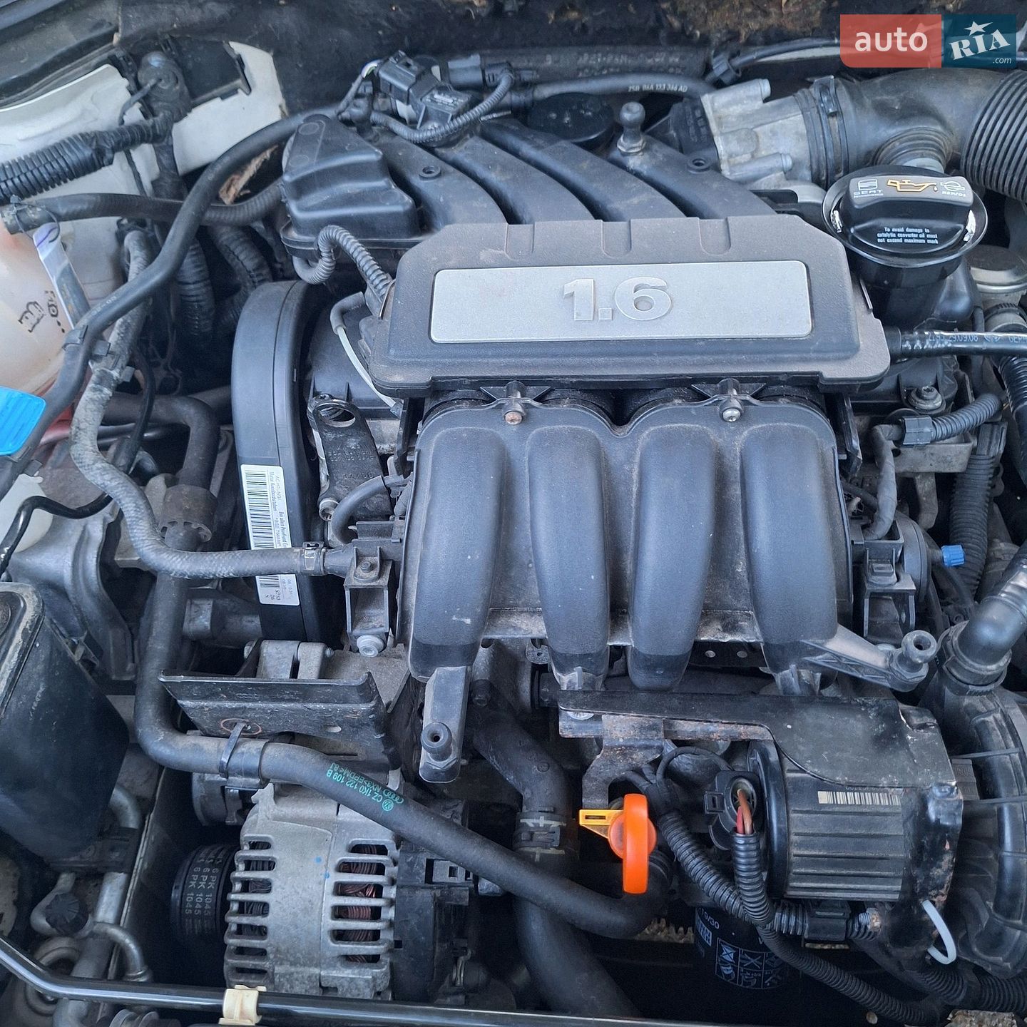 SEAT Leon 2008 VIN VSSZZZ1PZ9R041101 фото оголошення 20 з 22