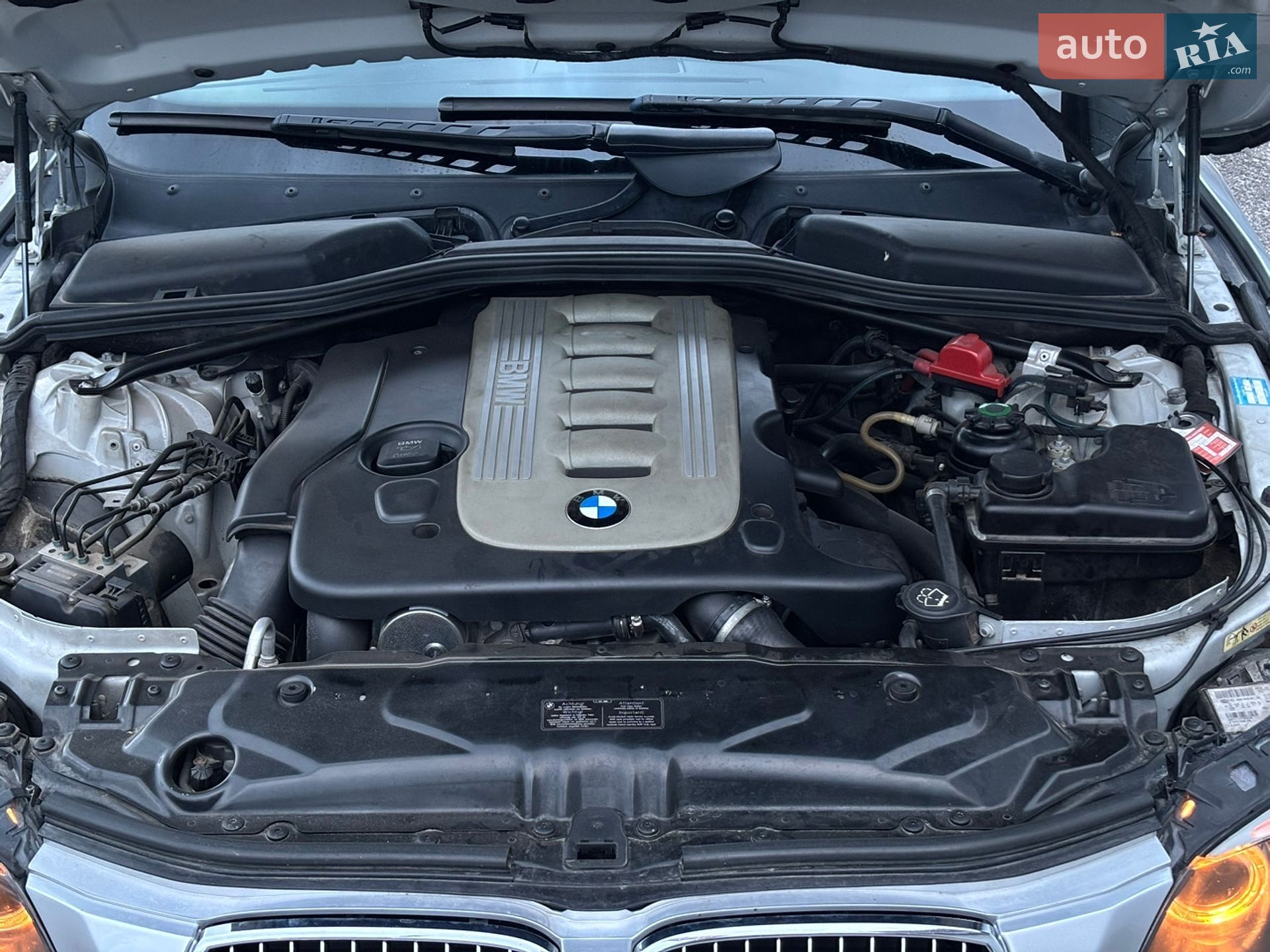 BMW 5 Series 2008 VIN WBAPX71090C102023 фото оголошення 49 з 55