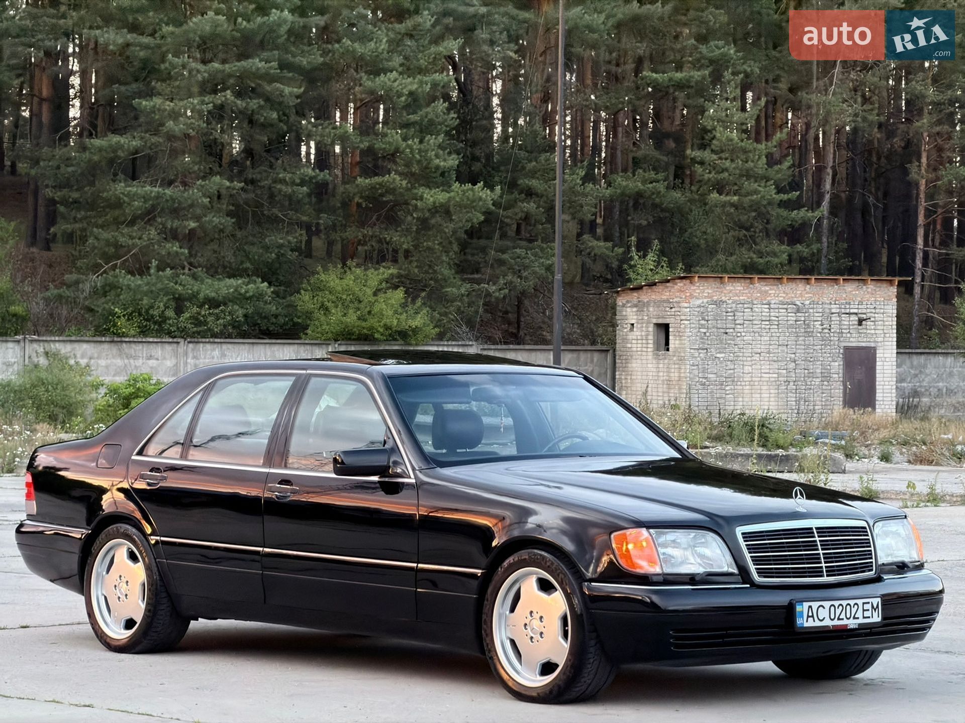 Mercedes-Benz S-Class 1996 VIN WDBGA43E2TA301845 фото оголошення 3 з 32