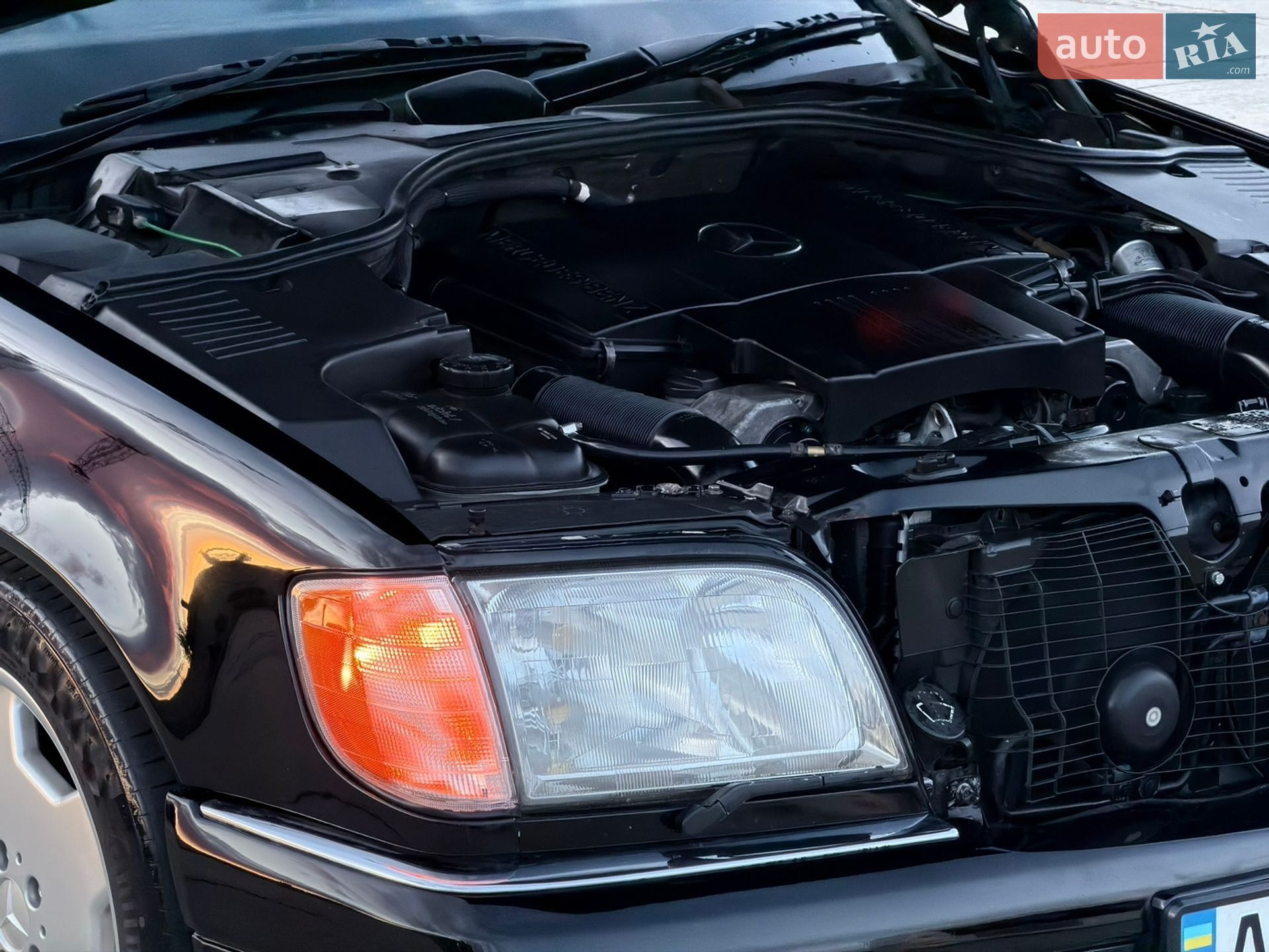 Mercedes-Benz S-Class 1996 VIN WDBGA43E2TA301845 фото оголошення 32 з 32