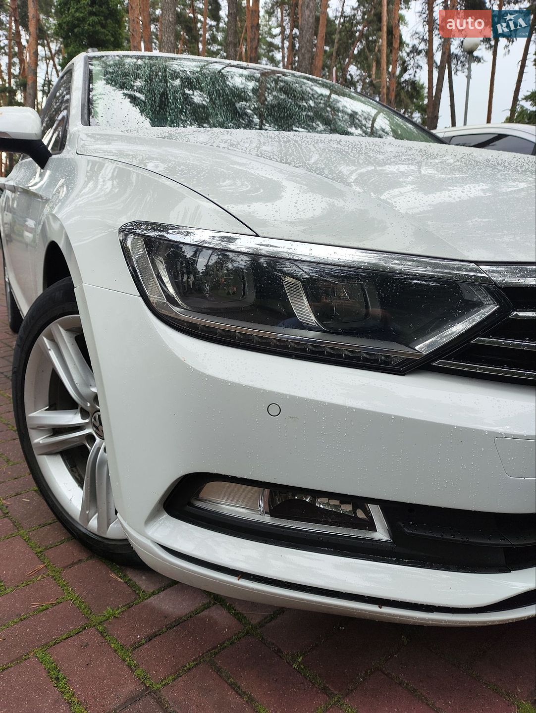 Volkswagen Passat 2016 VIN WVWZZZ3CZGP026558 фото оголошення 38 з 39