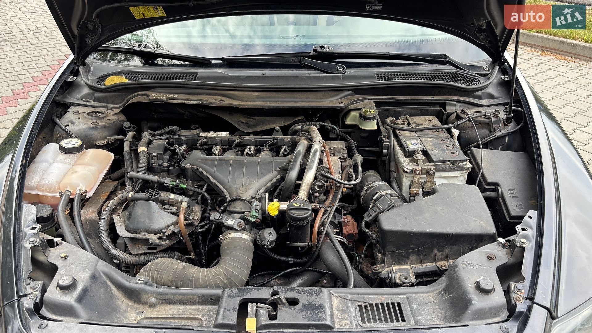 Volvo V50 2005 VIN YV1MW753152056193 фото оголошення 9 з 9