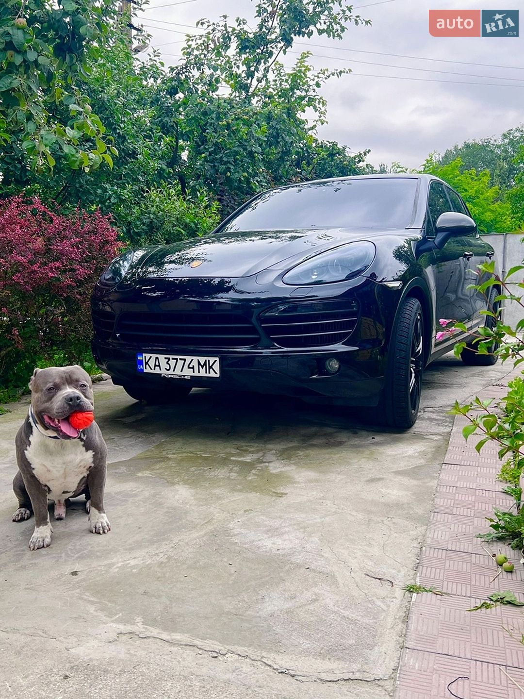 Porsche Cayenne 2011 VIN WP1ZZZ92ZCLA20749 фото оголошення 47 з 51