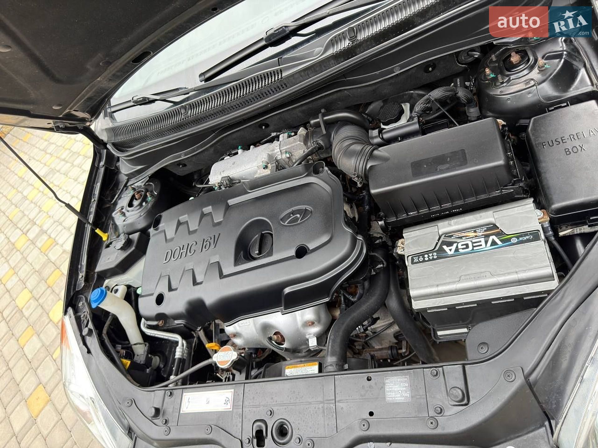 Hyundai Accent 2008 VIN NLHCM41AP9Z144488 фото оголошення 43 з 58