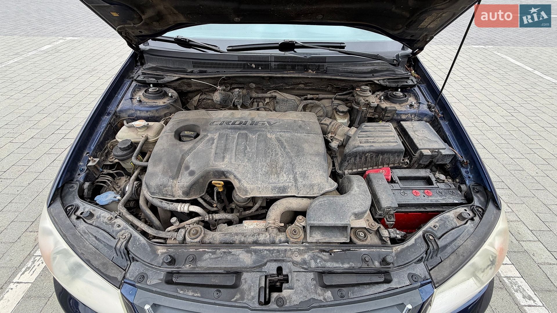Kia Cerato 2008 VIN KNEFE226285534141 фото оголошення 25 з 34