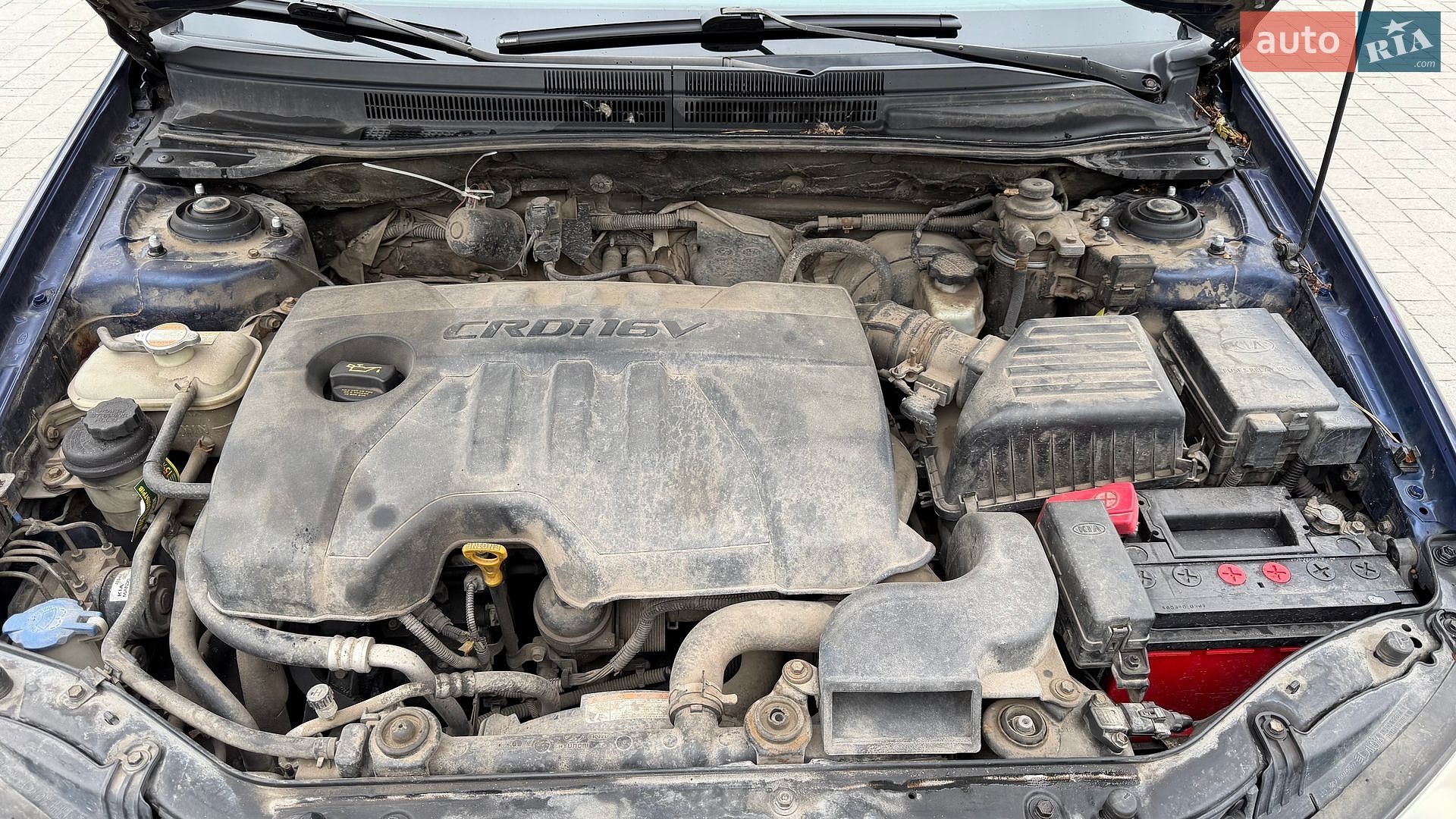 Kia Cerato 2008 VIN KNEFE226285534141 фото оголошення 24 з 34