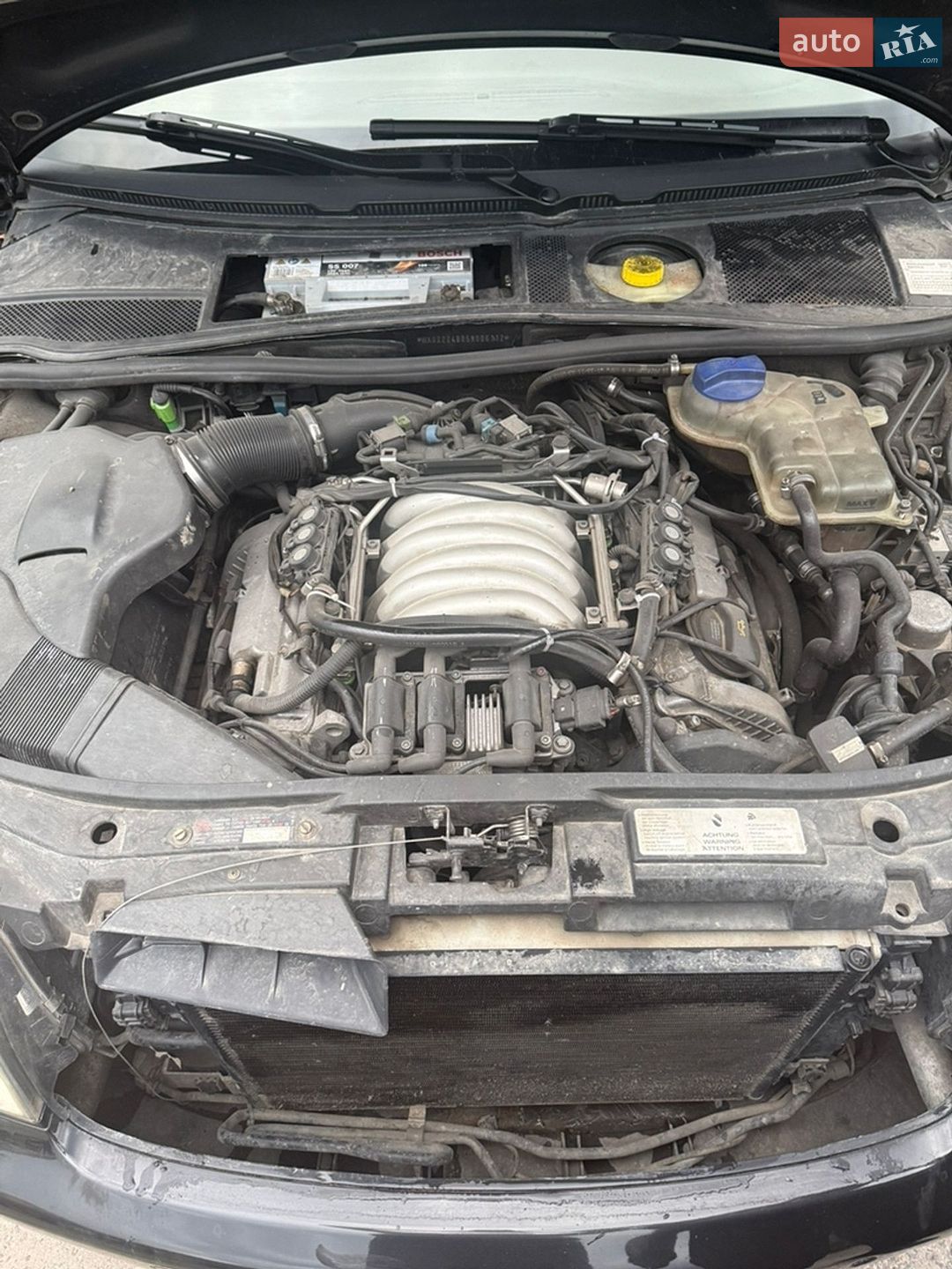 Audi A6 2004 VIN WAUZZZ4B05N006112 фото оголошення 11 з 11