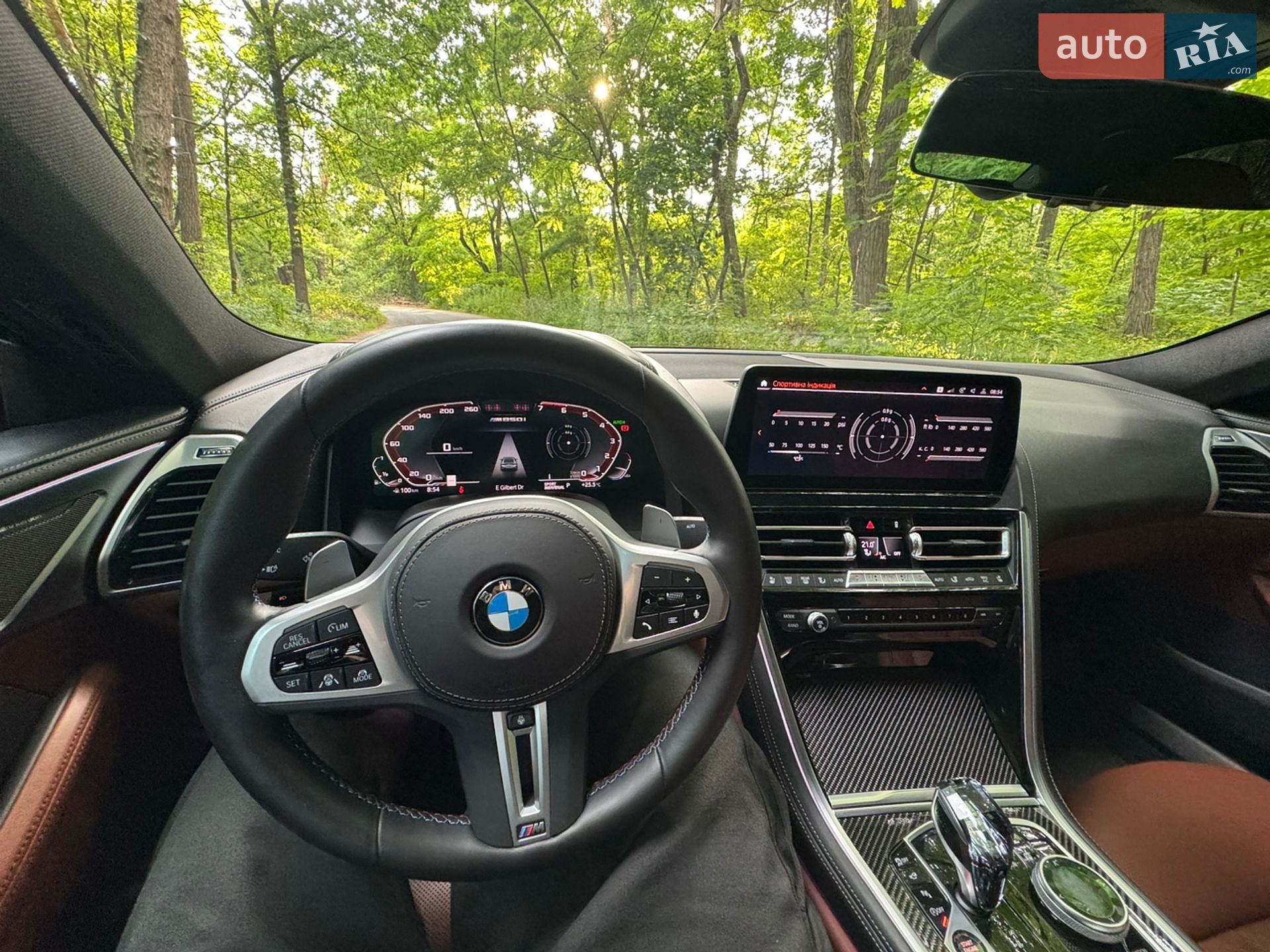 BMW 8 Series Gran Coupe 2022 VIN WBAGV8C07PCL70409 фото оголошення 15 з 25