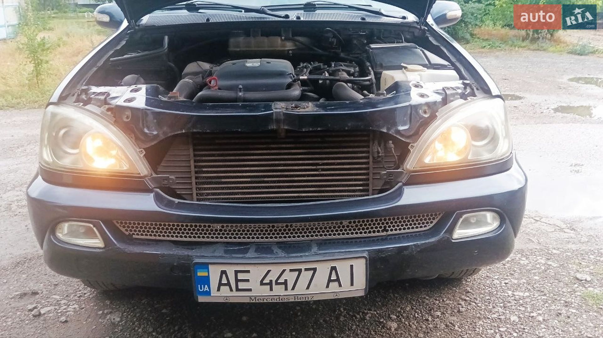 Mercedes-Benz M-Class 2001 VIN WDC1631131A308365 фото оголошення 20 з 22
