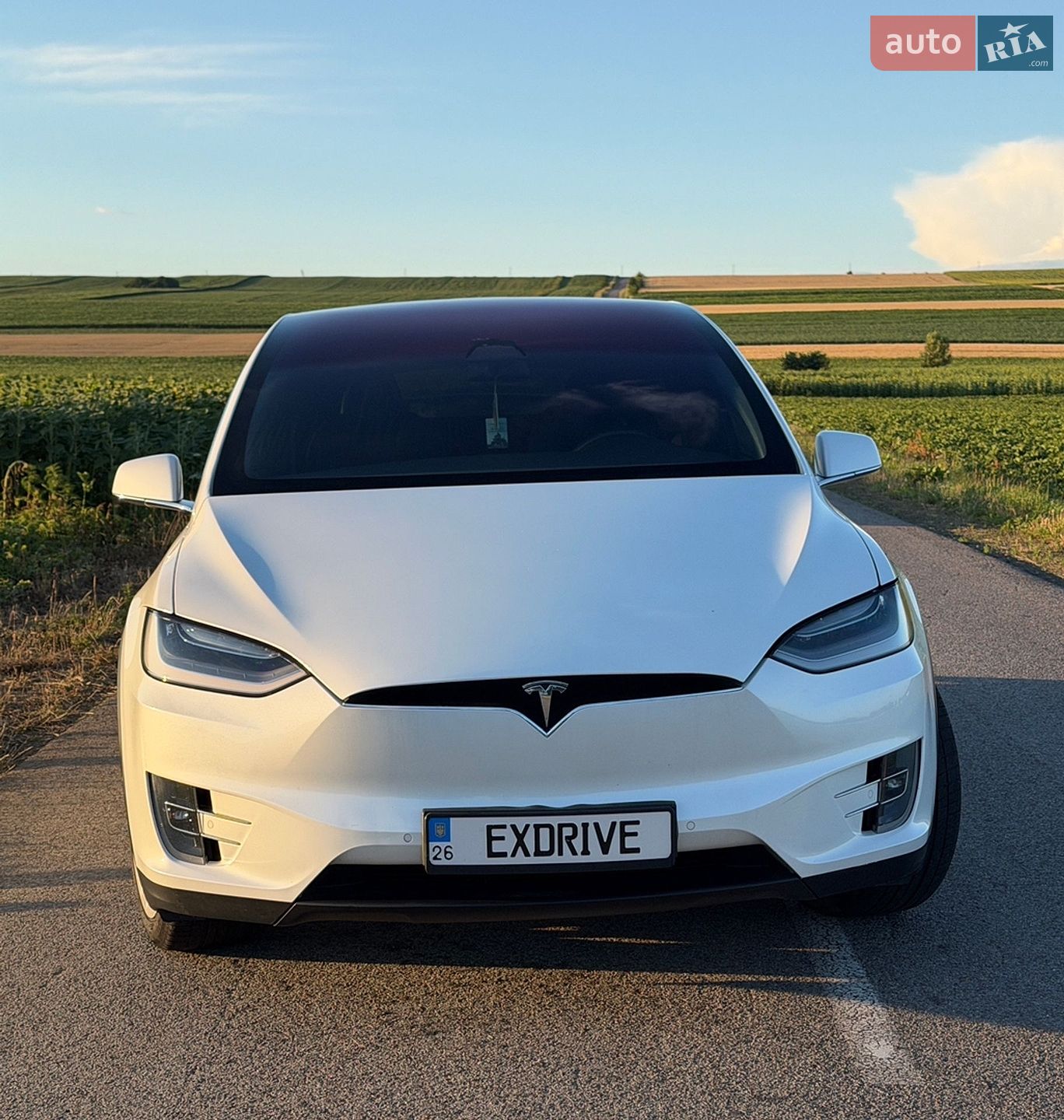 Tesla Model X 2019 VIN 5YJXCBE28LF235327 фото оголошення 29 з 38