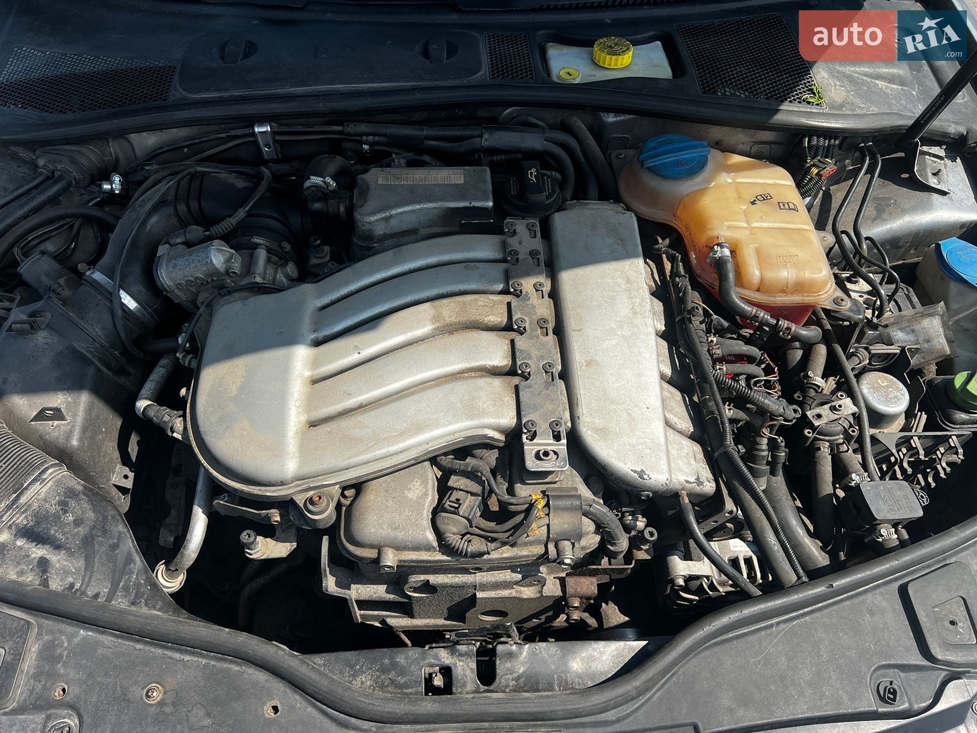 Volkswagen Passat 2003 VIN WVWZZZ3BZ3P350359 фото оголошення 12 з 15