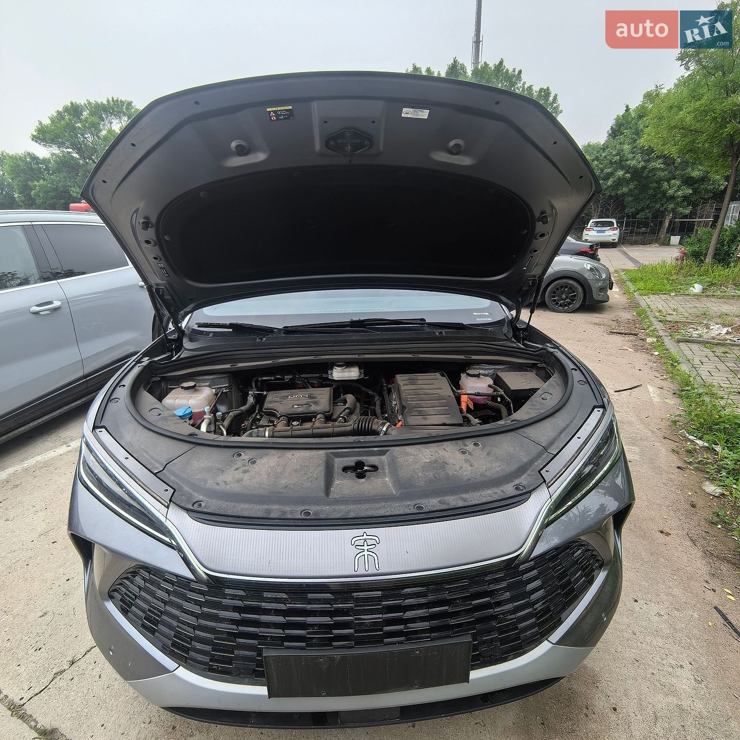 BYD Song L 2025 VIN LC0C74C45S5081684 фото оголошення 3 з 15