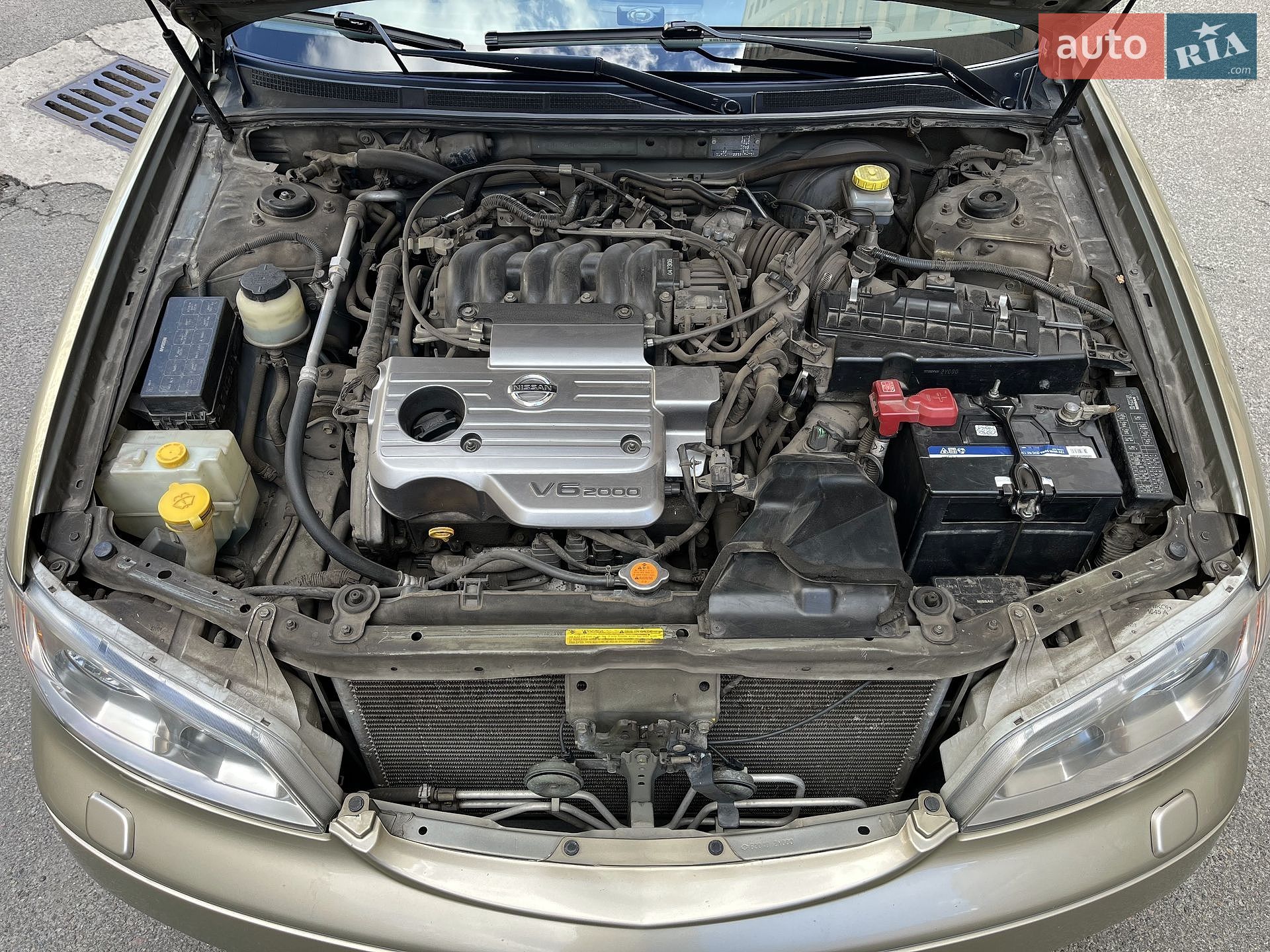 Nissan Maxima 2005 VIN JN1CAUA33U0306022 фото оголошення 20 з 22