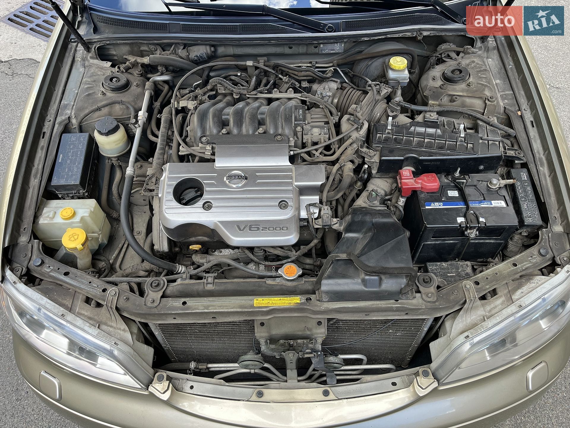 Nissan Maxima 2005 VIN JN1CAUA33U0306022 фото оголошення 21 з 22