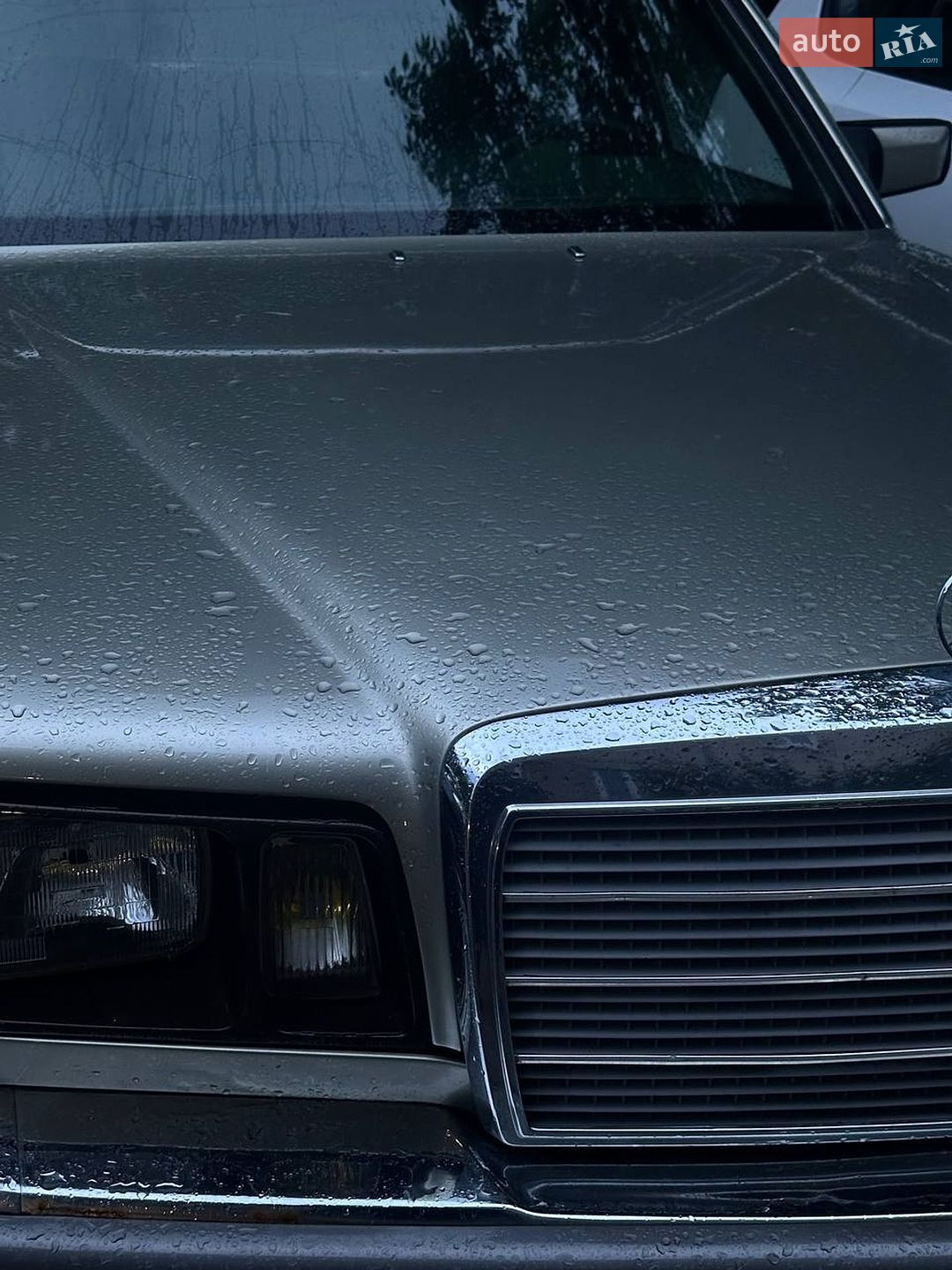 Mercedes-Benz S-Class 1985 VIN WDB1260221A132141 фото оголошення 6 з 12