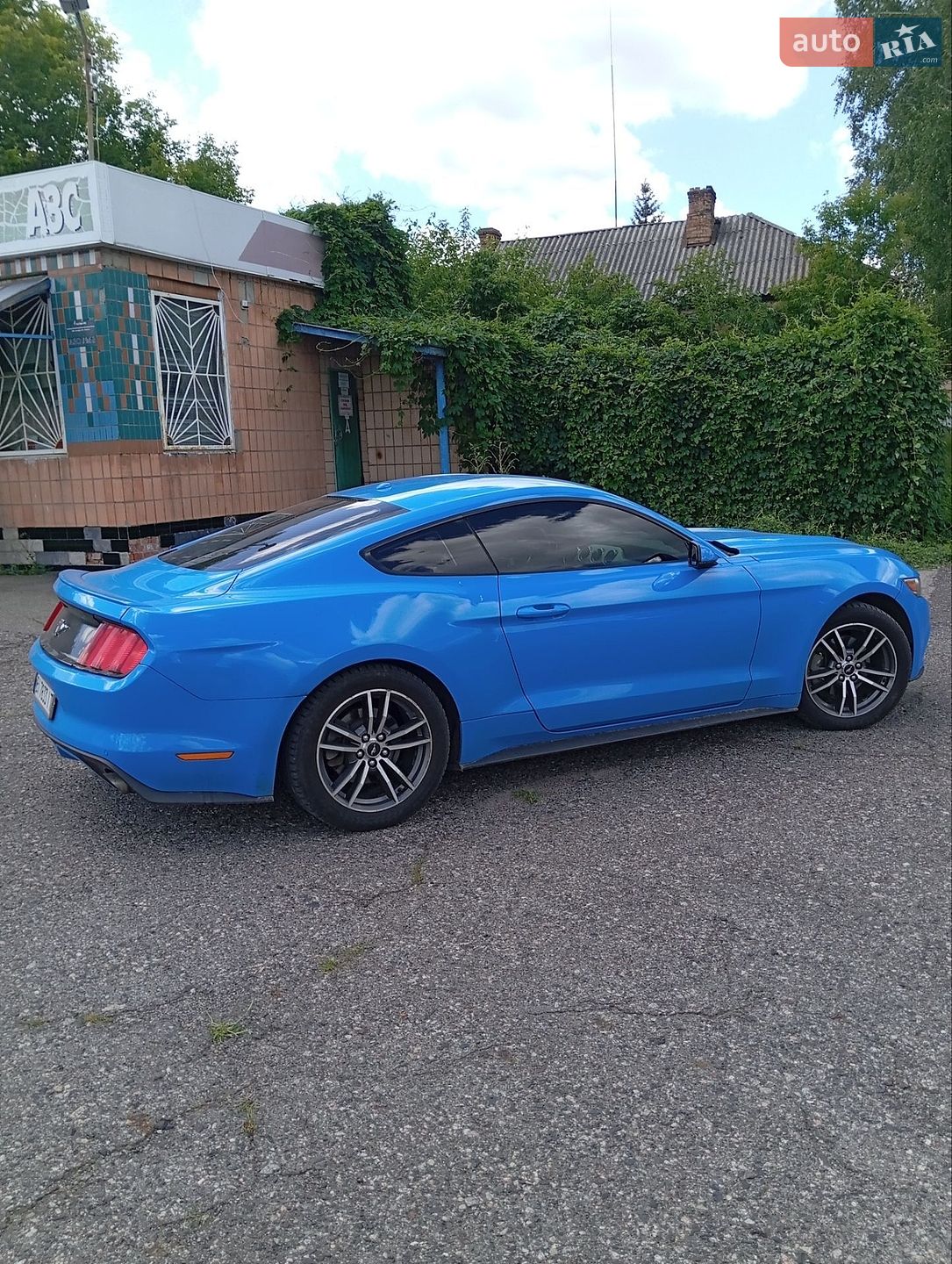 Ford Mustang 2017 VIN 1FA6P8TH2H5294124 фото оголошення 6 з 9
