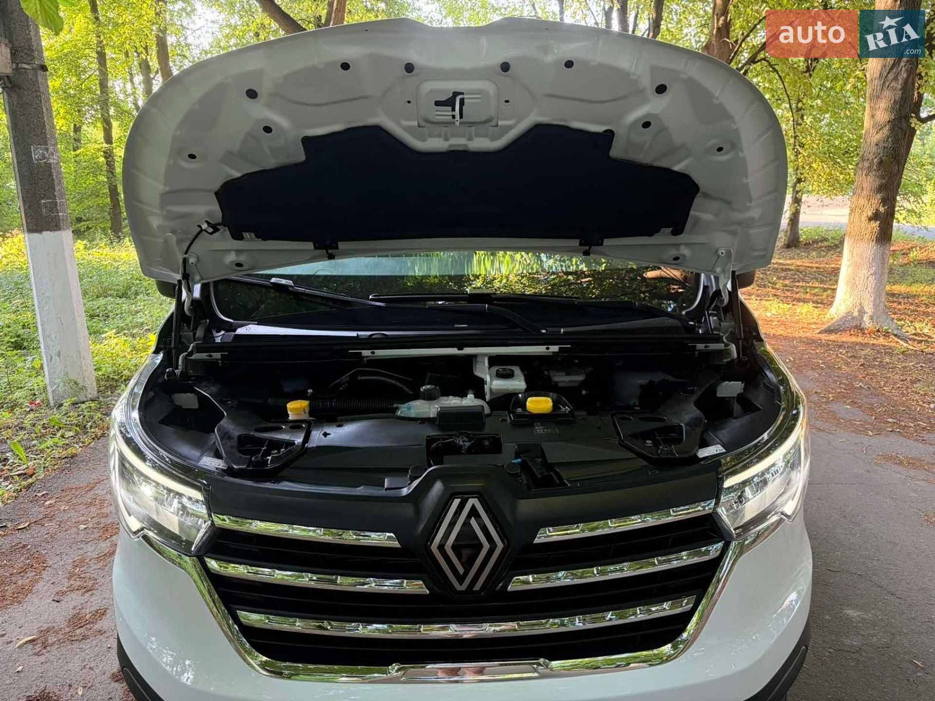 Renault Trafic 2024 VIN VF1FL000973183889 фото оголошення 29 з 65