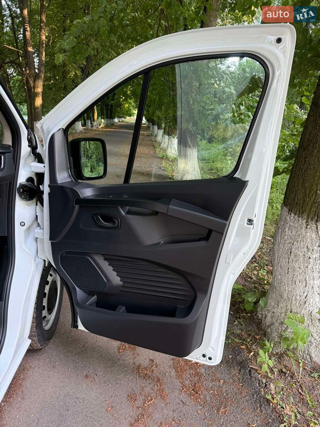 Renault Trafic 2024 VIN VF1FL000973183889 фото оголошення 47 з 65