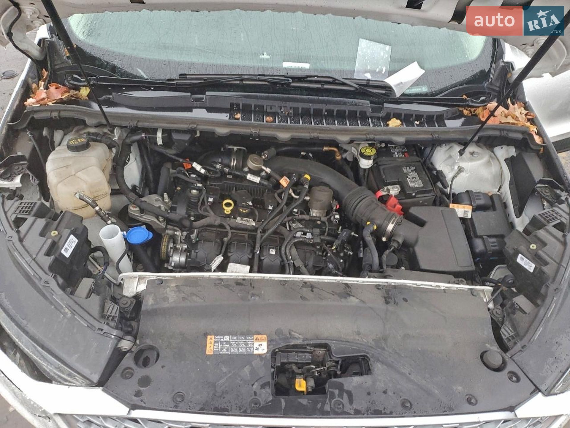 Ford Edge 2023 VIN 2FMPK4J96RBA33363 фото оголошення 12 з 13