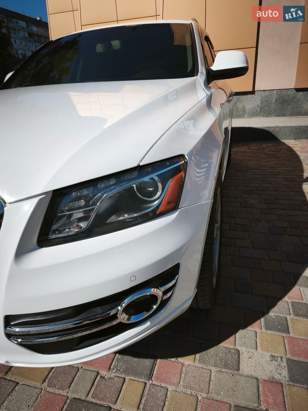 Audi Q5 2009 VIN WA1LKAFP6AA040381 фото оголошення 29 з 42