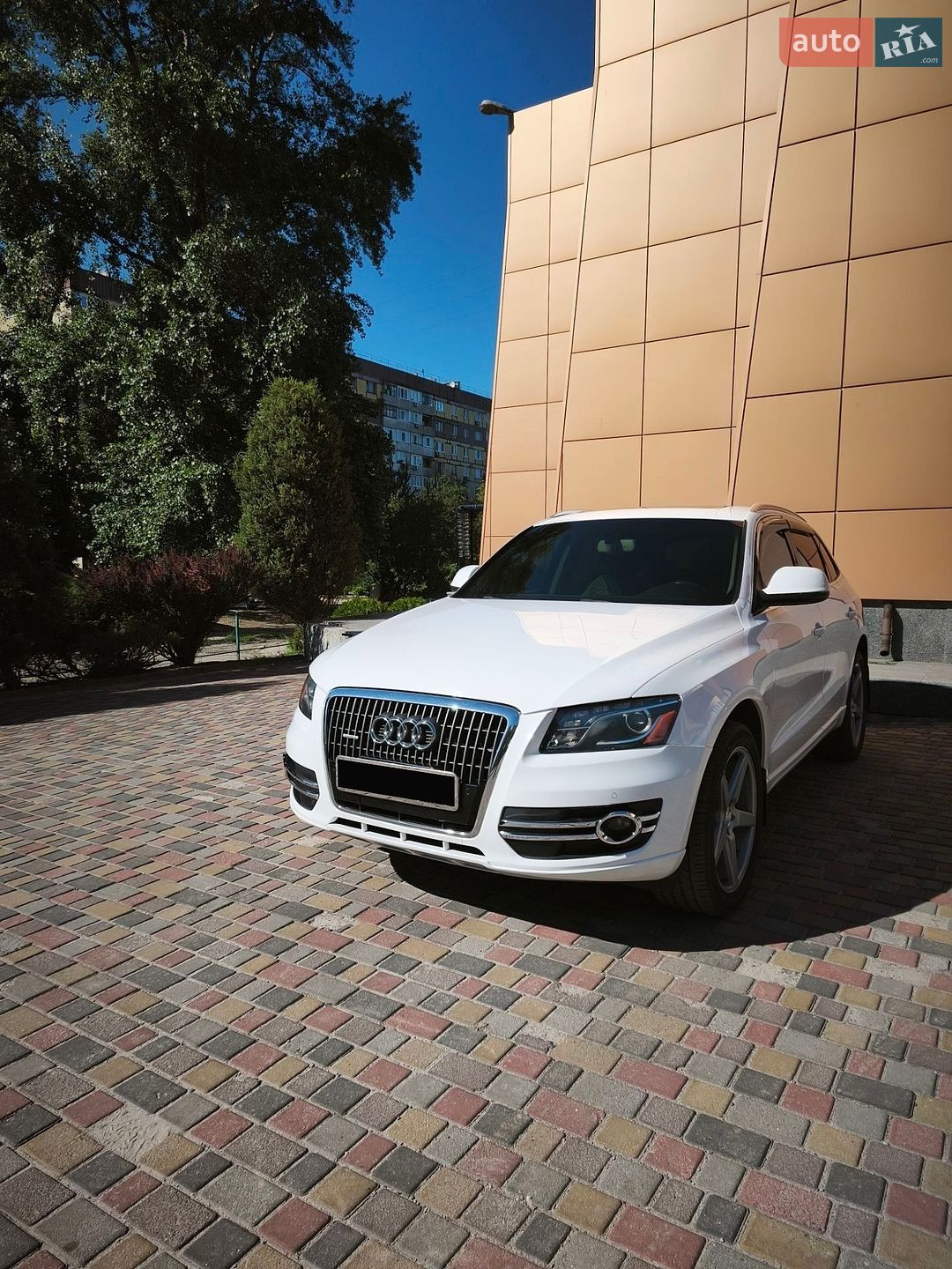 Audi Q5 2009 VIN WA1LKAFP6AA040381 фото оголошення 30 з 42