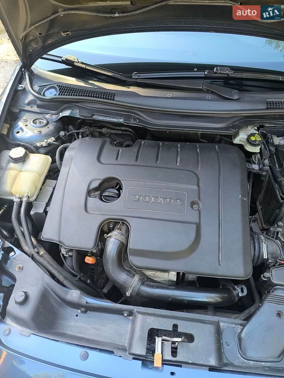 Volvo V50 2009 VIN YV1MW76F2A2550673 фото оголошення 22 з 23