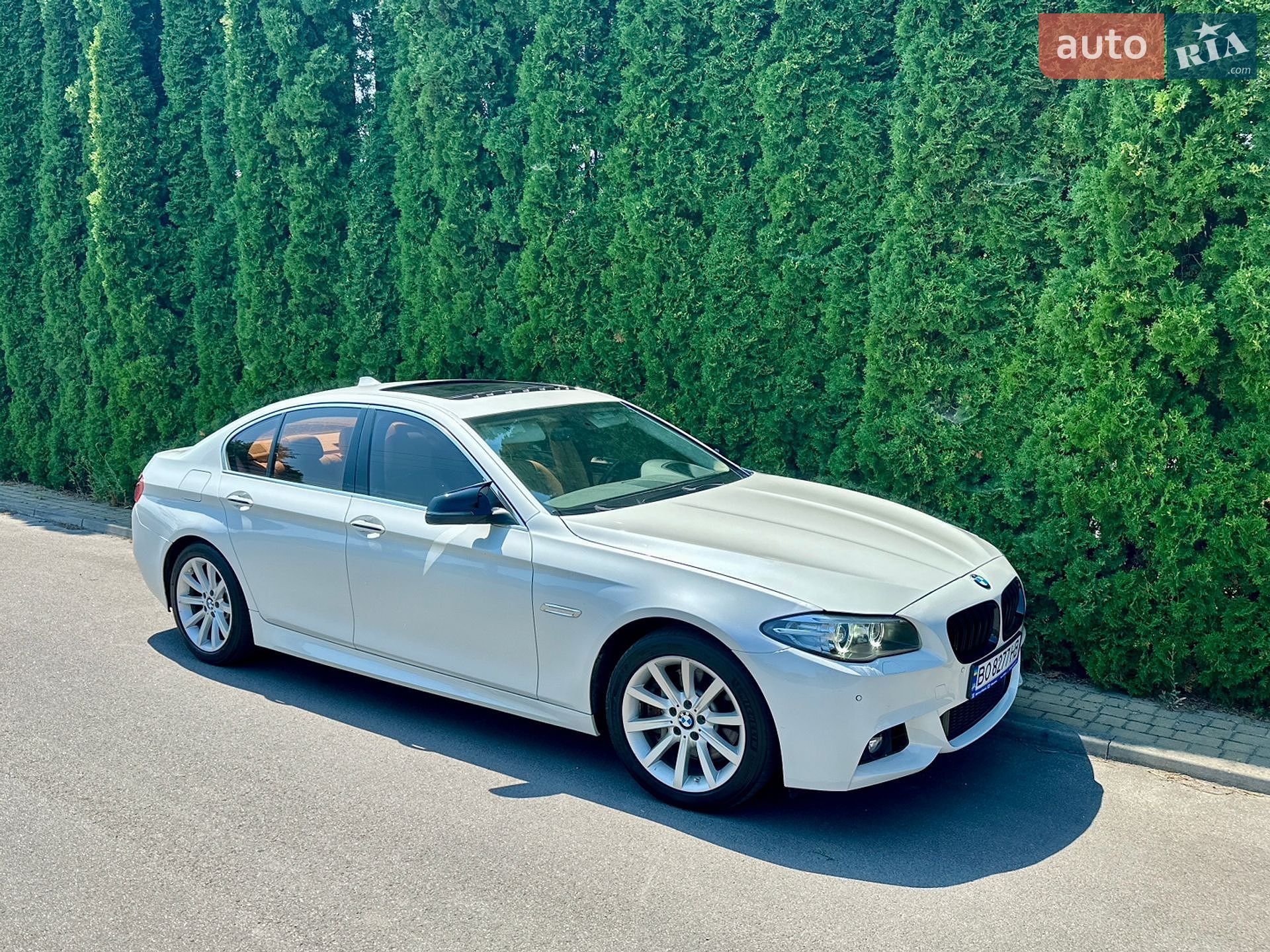 BMW 5 Series 2014 VIN WBAXA5C54ED690879 фото оголошення 19 з 96