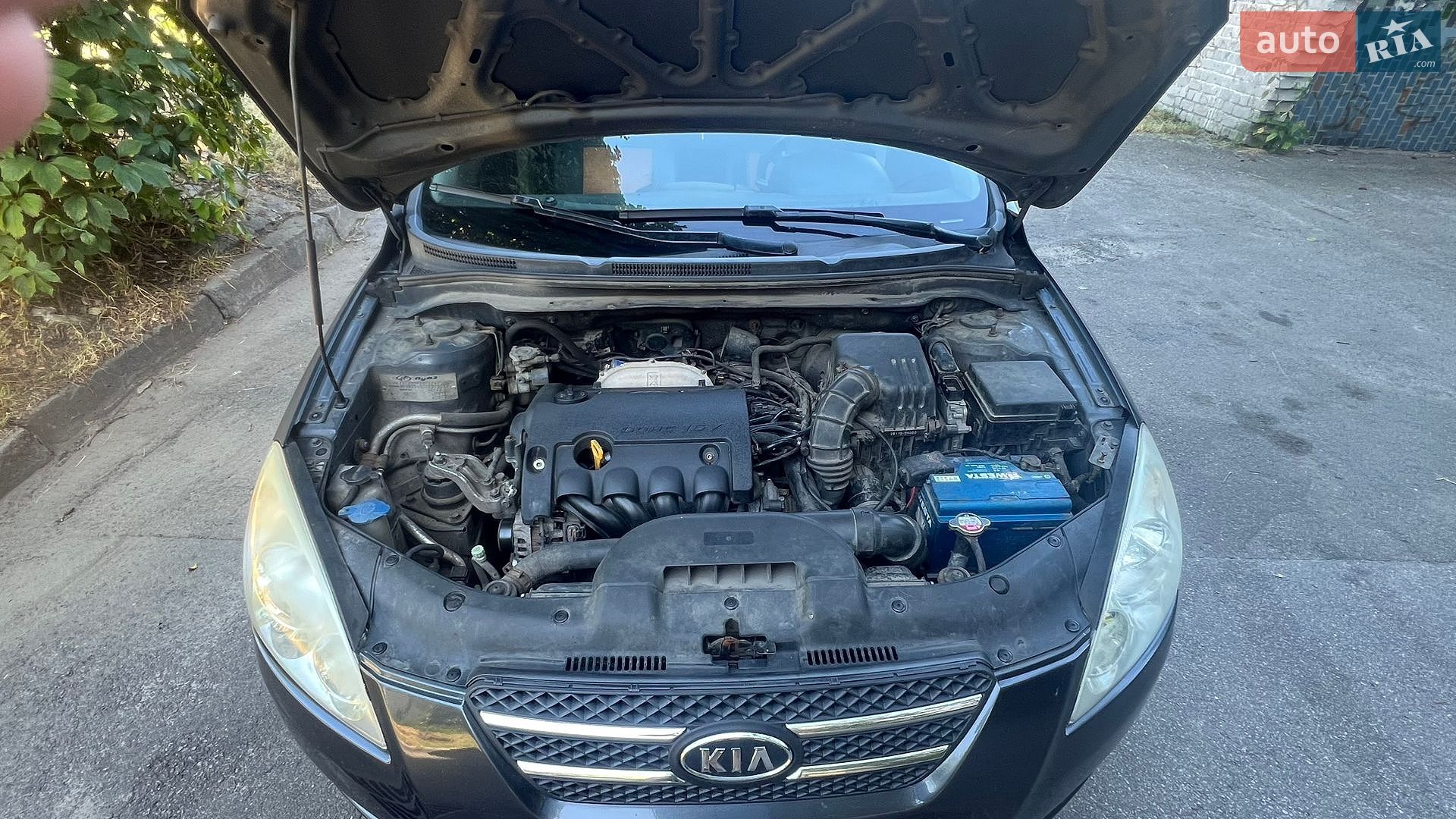 KIA Ceed 2008 VIN Y6LFF52228L004140 фото оголошення 8 з 8