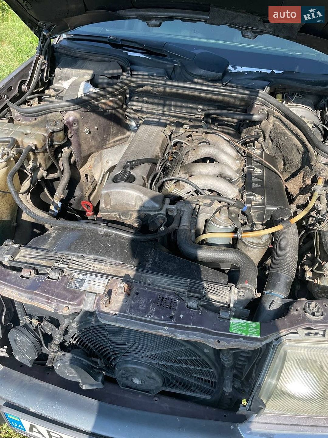 Mercedes-Benz E-Class 1992 VIN WDB1240221B911868 фото оголошення 7 з 22