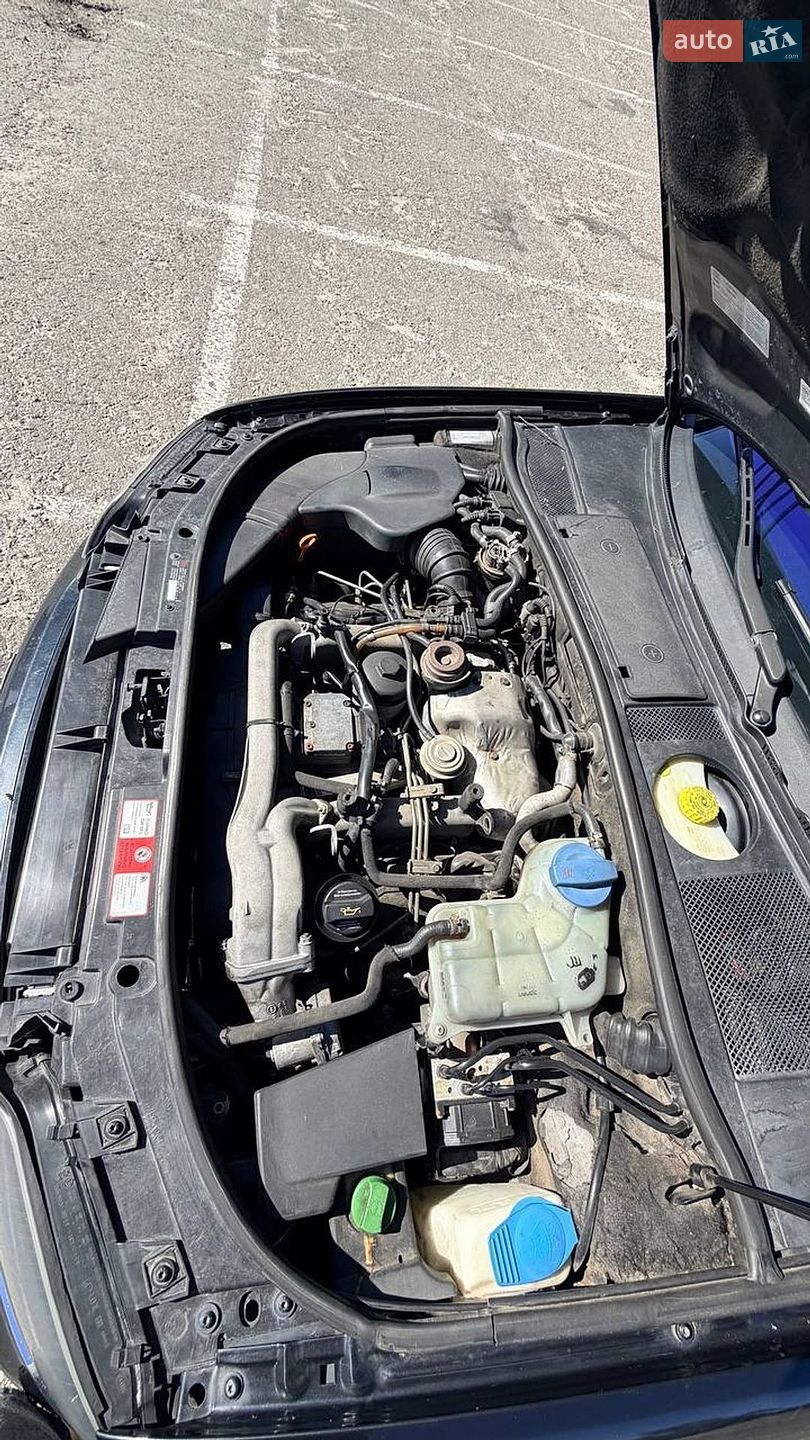Audi A6 2004 VIN WAUZZZ4B44N063265 фото оголошення 21 з 30
