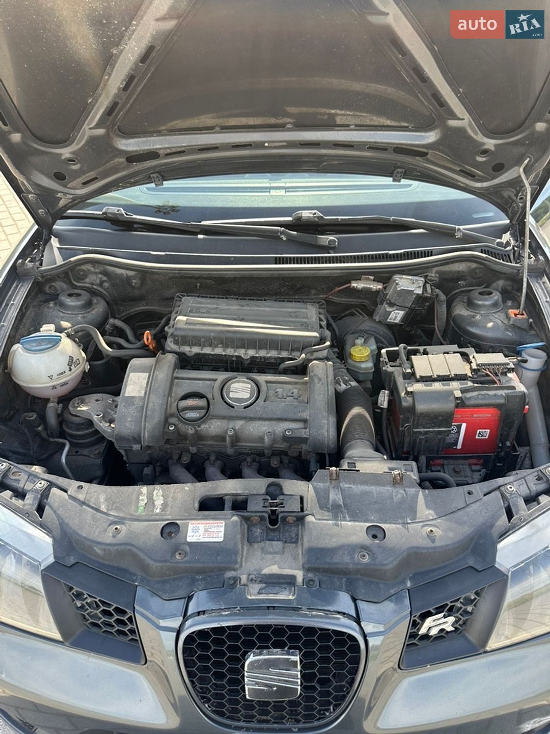 SEAT Ibiza 2007 VIN VSSZZZ6LZ8R029782 фото оголошення 14 з 14