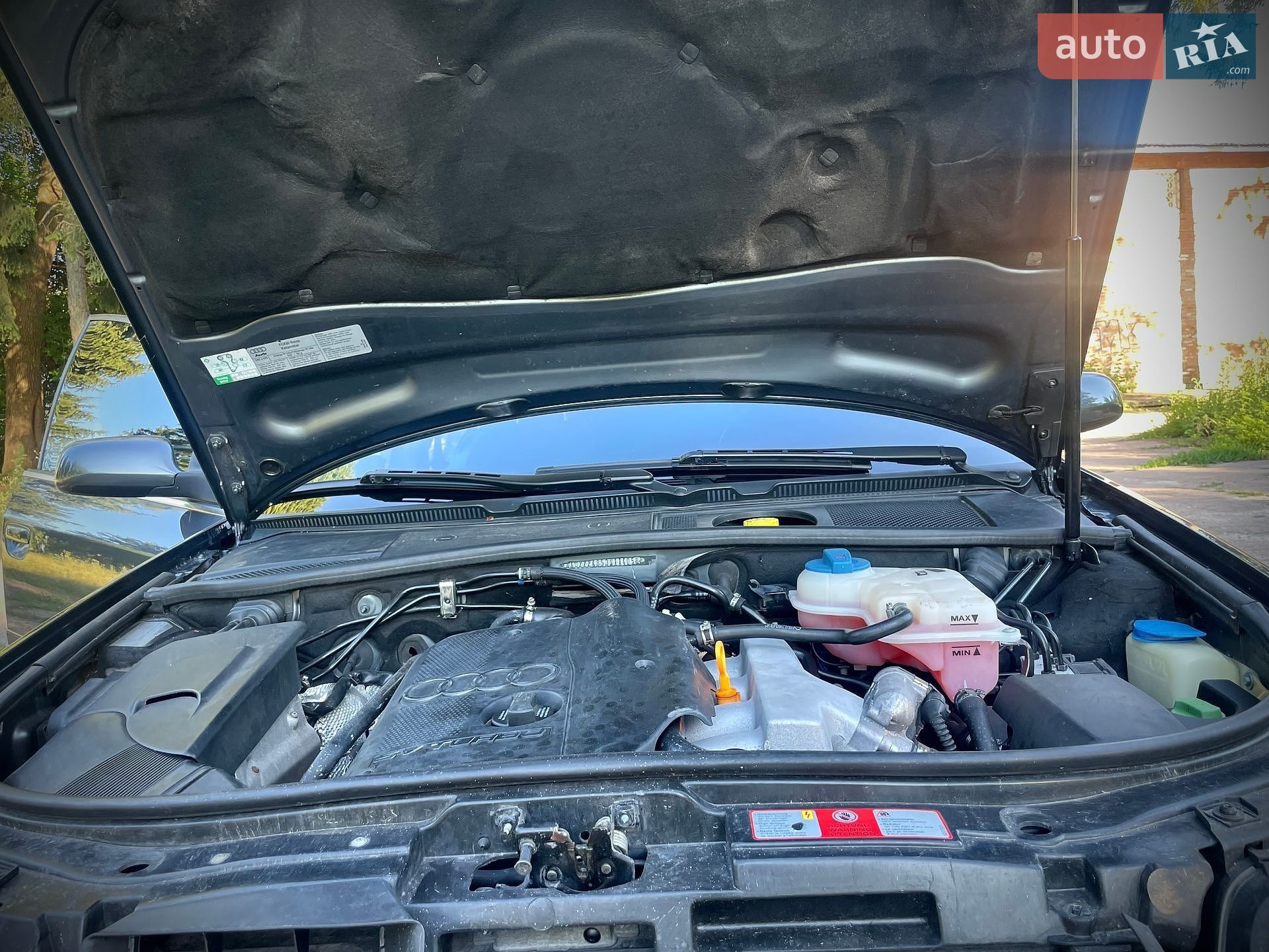 Audi A6 2003 VIN WAUZZZ4B53N114058 фото оголошення 51 з 60