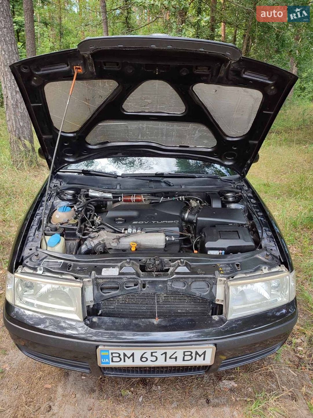 Skoda Octavia 2006 VIN TMBDL41U76B063868 фото оголошення 3 з 16