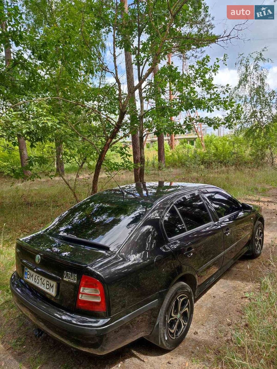Skoda Octavia 2006 VIN TMBDL41U76B063868 фото оголошення 9 з 16