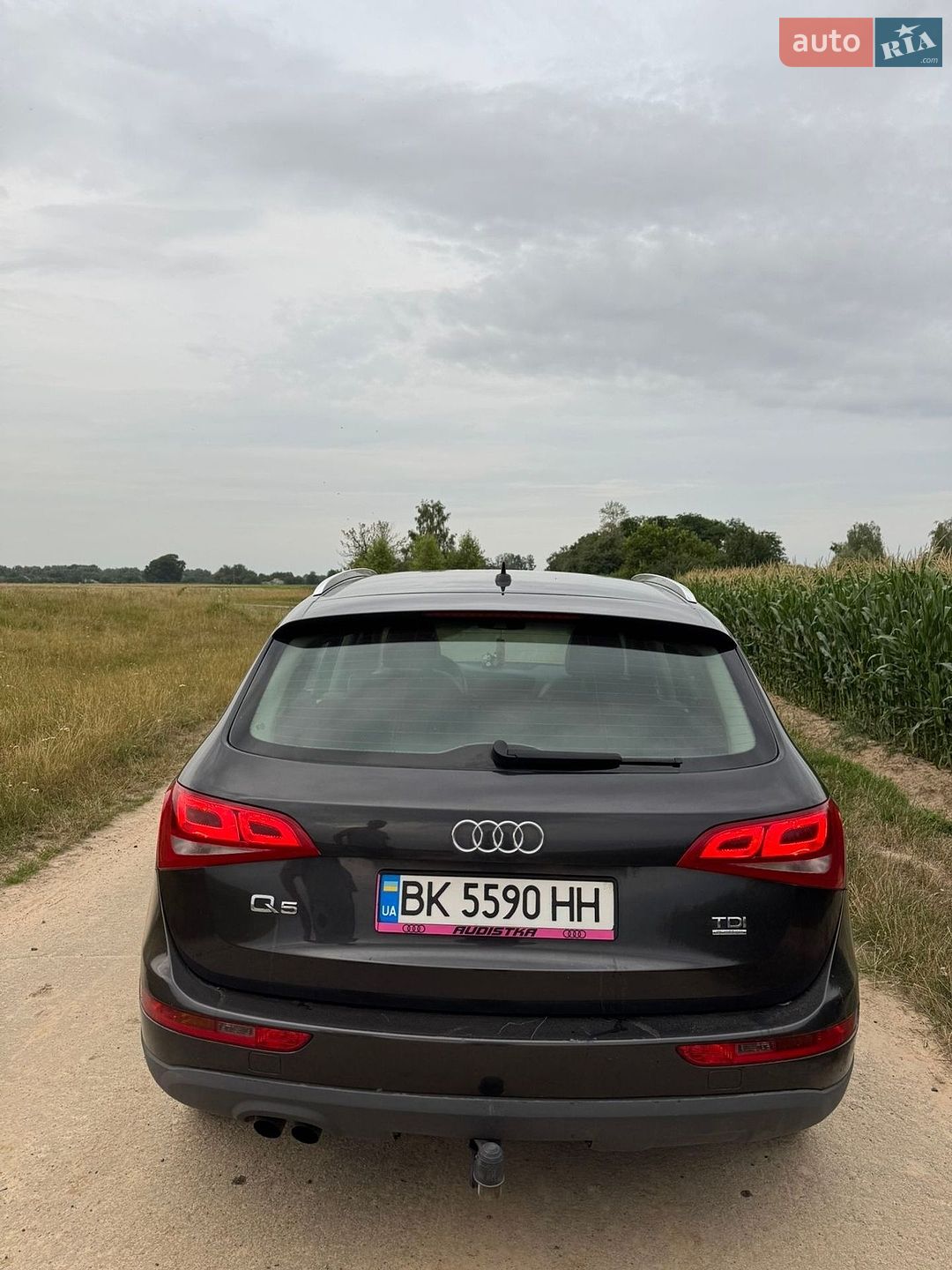 Audi Q5 2010 VIN WAUZZZ8RXBA049821 фото оголошення 12 з 14