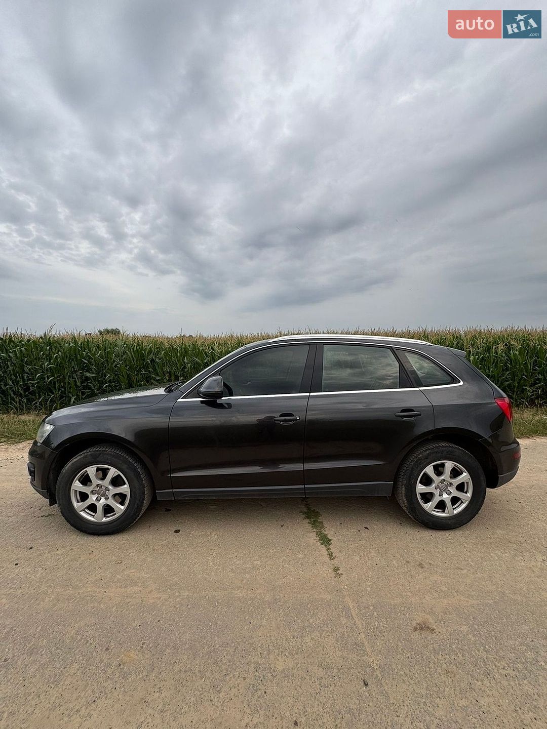Audi Q5 2010 VIN WAUZZZ8RXBA049821 фото оголошення 13 з 14