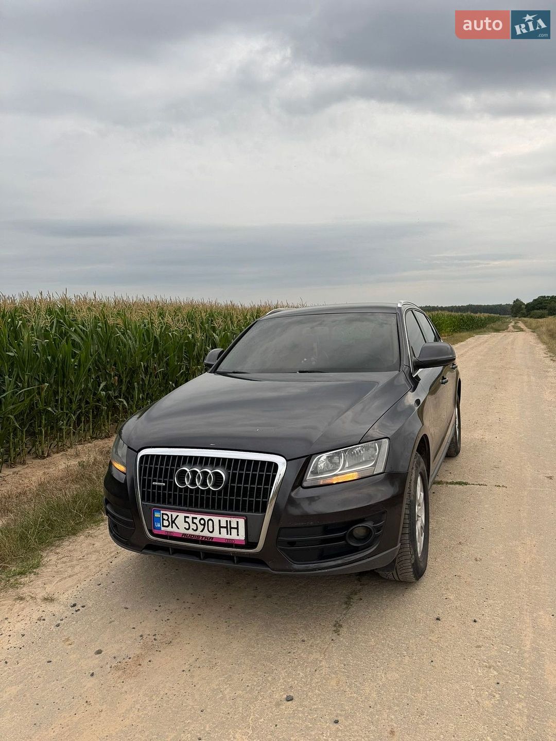 Audi Q5 2010 VIN WAUZZZ8RXBA049821 фото оголошення 14 з 14