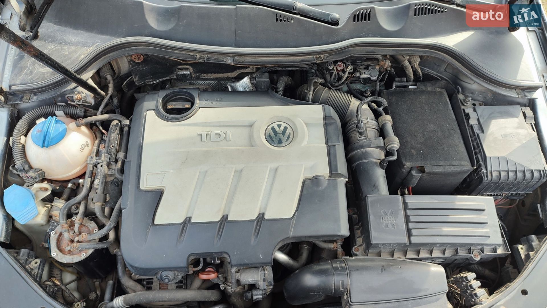 Volkswagen Passat 2008 VIN WVWZZZ3CZ8E232431 фото оголошення 33 з 43