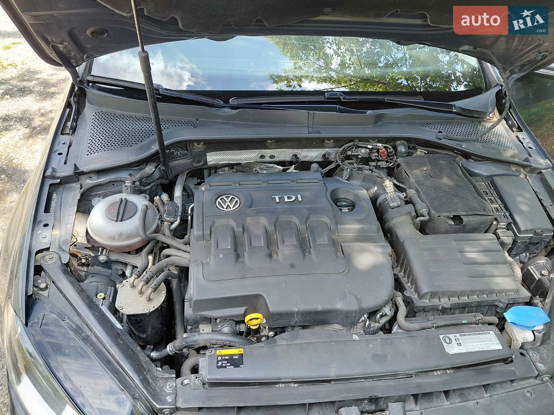 Volkswagen Golf 2016 VIN WVWZZZAUZGP601635 фото оголошення 8 з 17