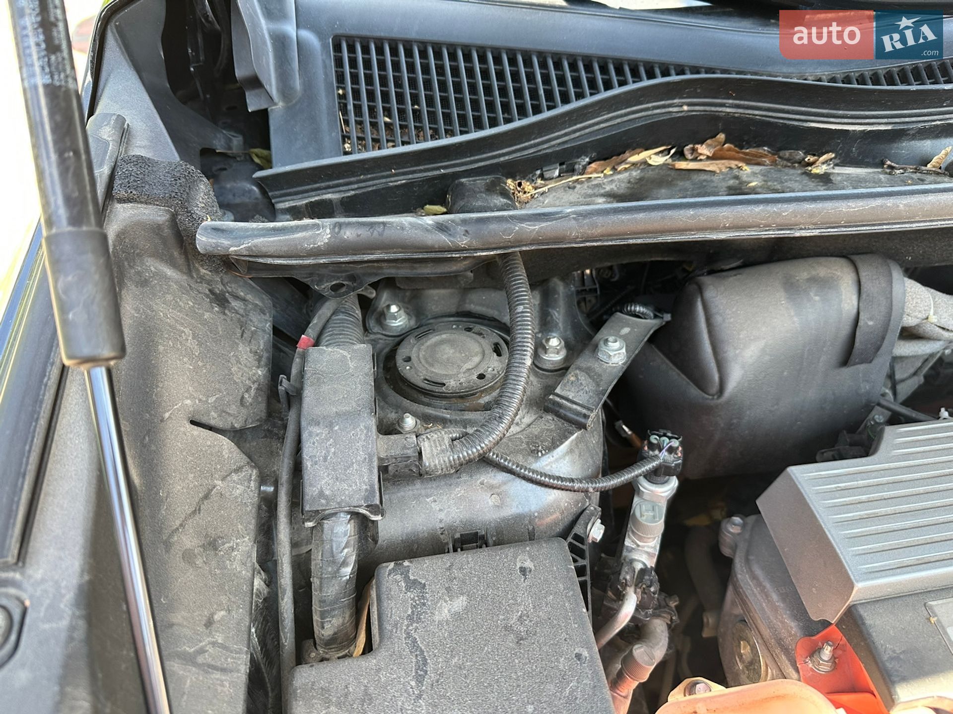 Lexus NX 2014 VIN JTJBJRBZ702002545 фото оголошення 34 з 46